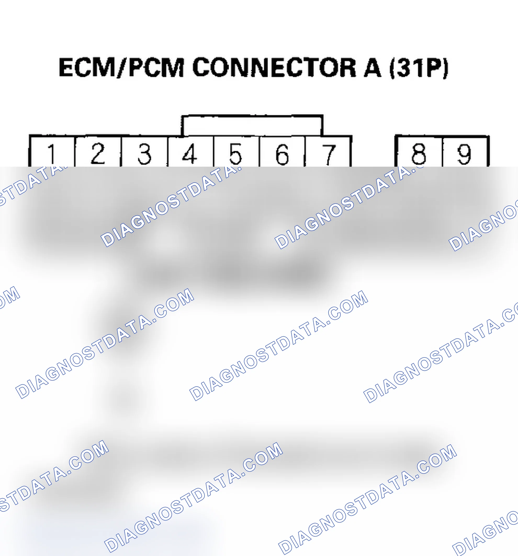 Scheme 381
