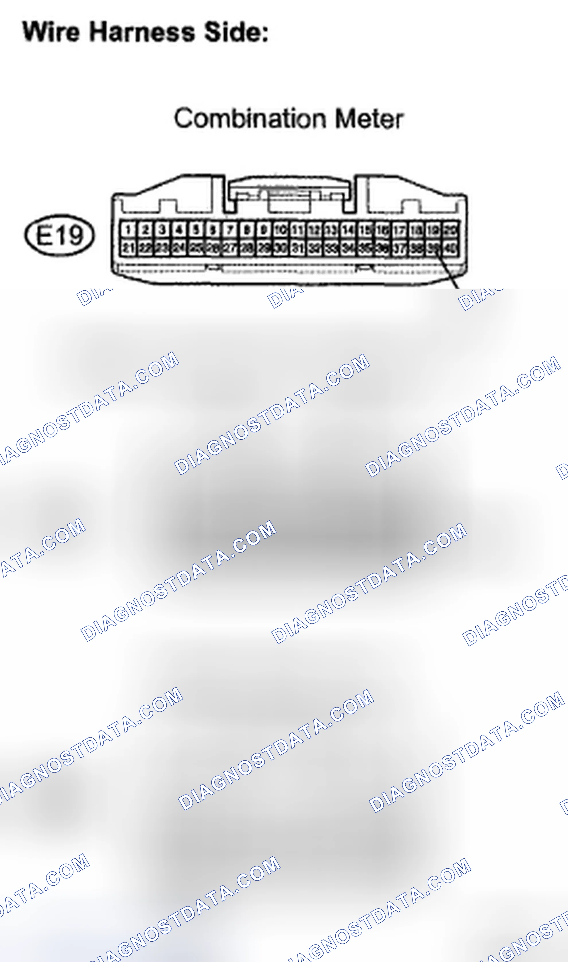Scheme 18: INSPECTION PROCEDURE