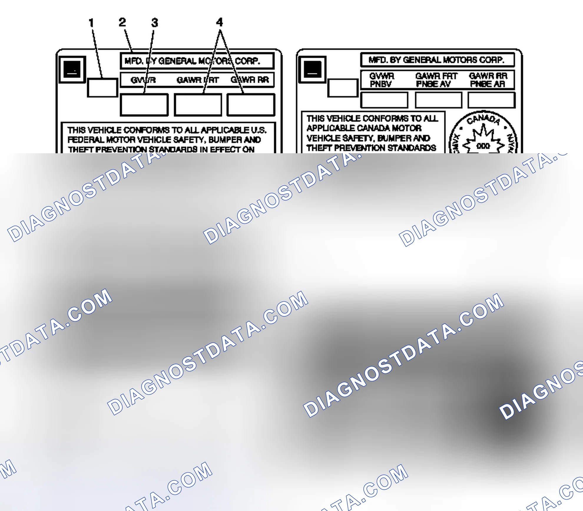 Scheme 29: Vehicle Certification, Tire Placard, Anti-Theft, and Service Parts ID Label