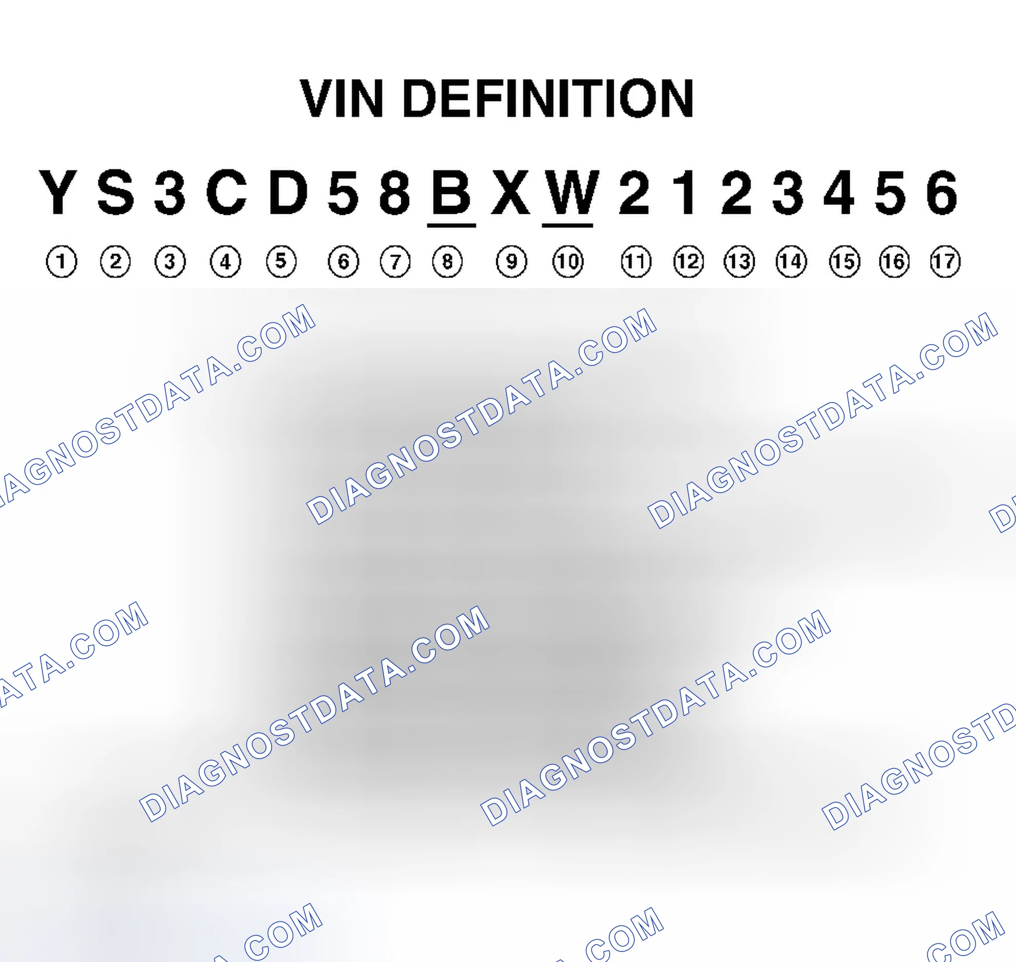 Scheme 1: Identifying VIN