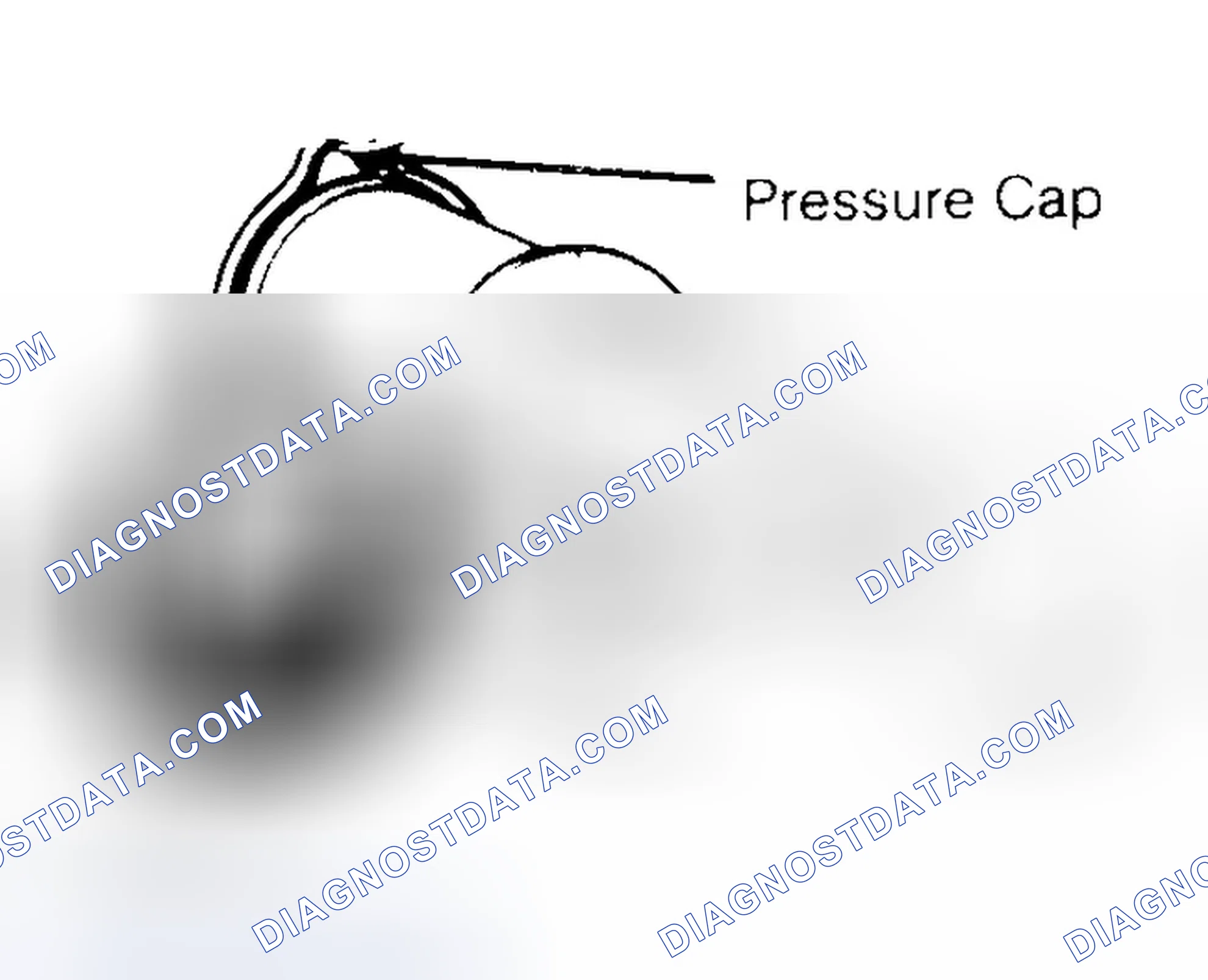 Scheme 2: Pressure Testing Radiator Cap