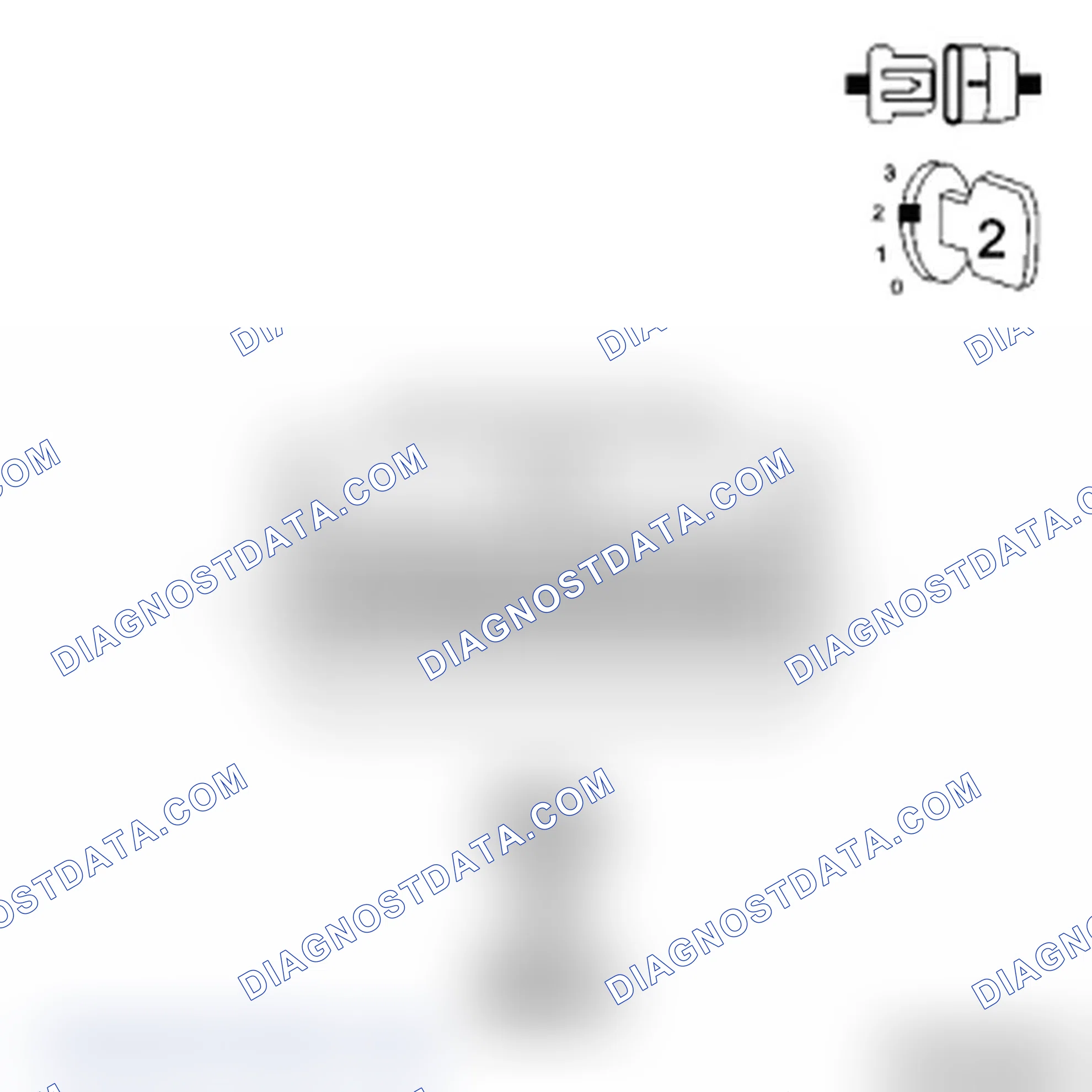 Scheme 3: Diagnostic Test