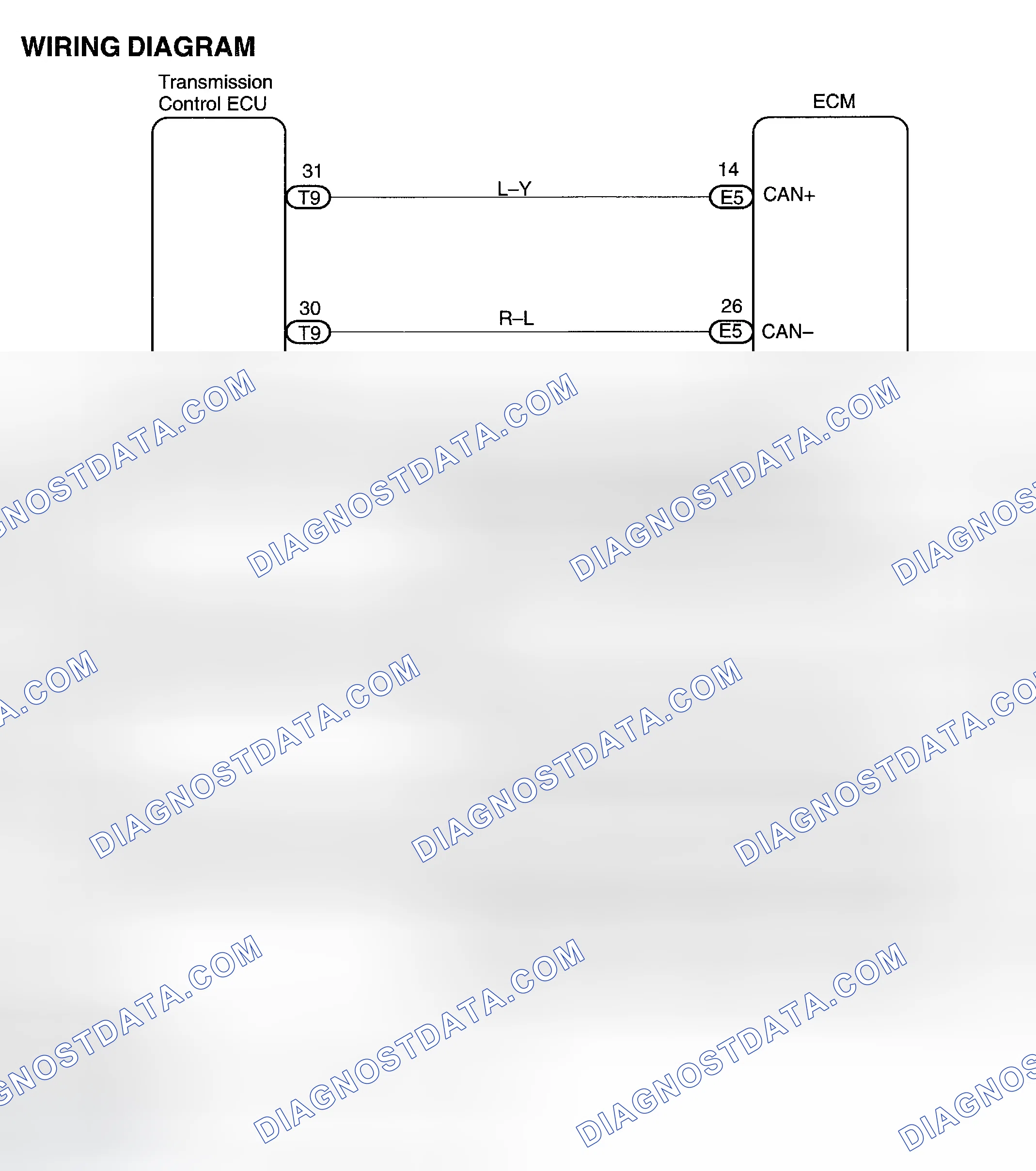 Scheme 206: Diagnosis & Repair