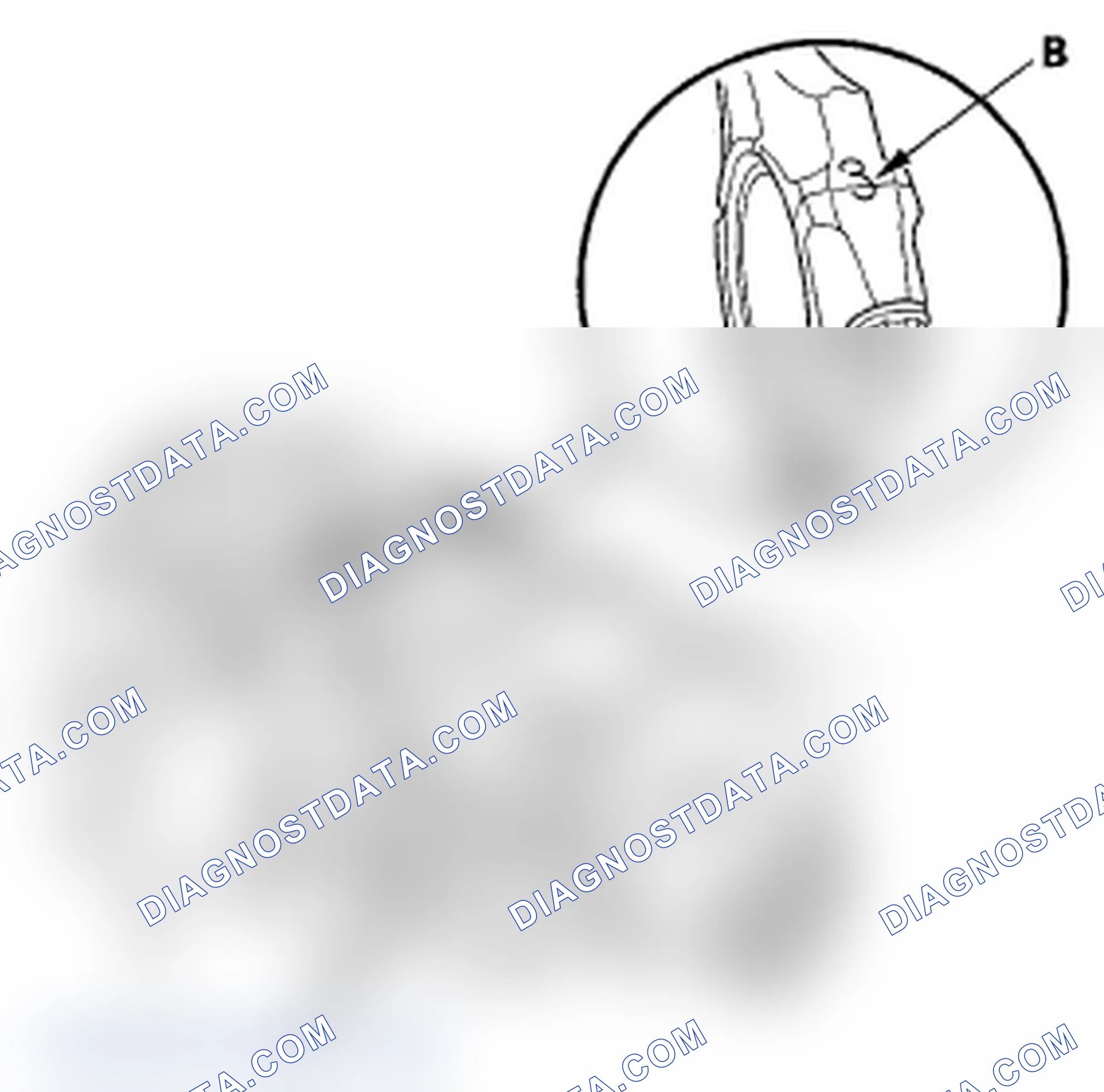 Scheme 261