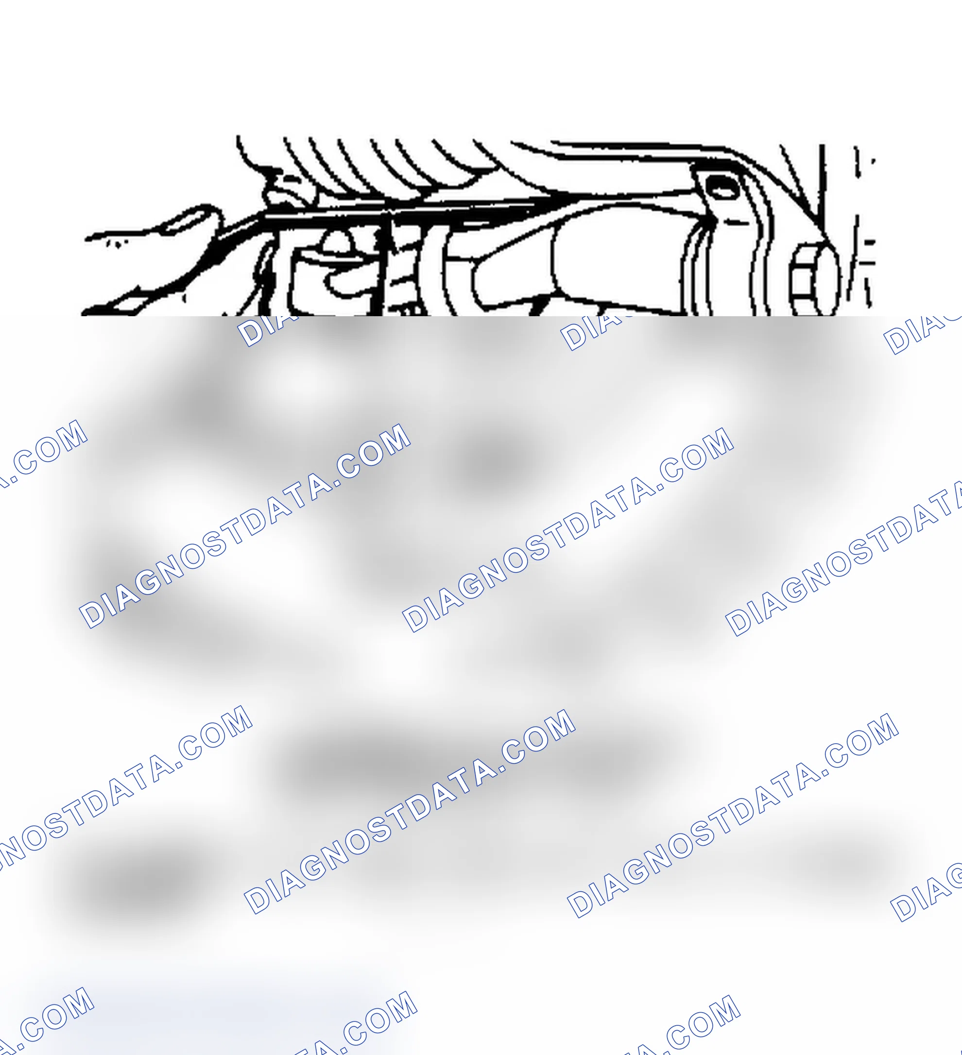Scheme 2: Camber adjustment with special tool.