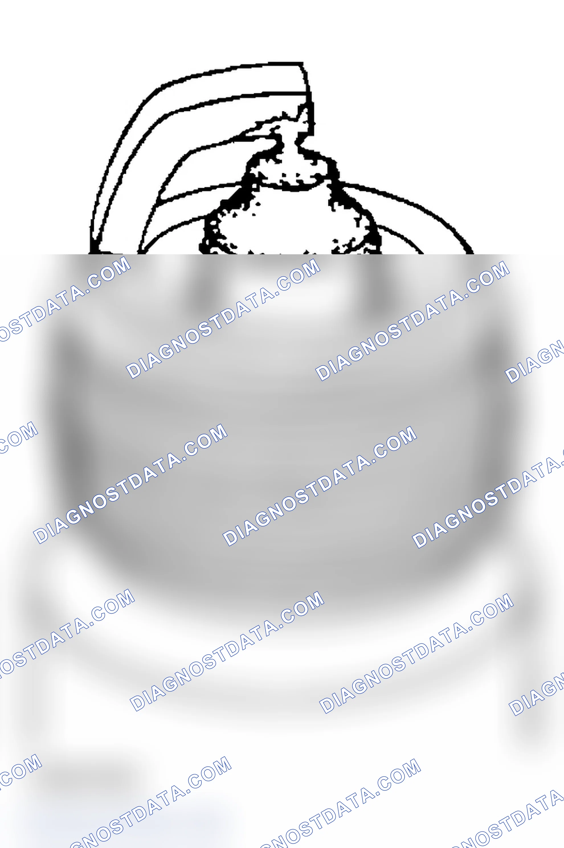 Scheme 78: SPARK PLUG - INSPECTION