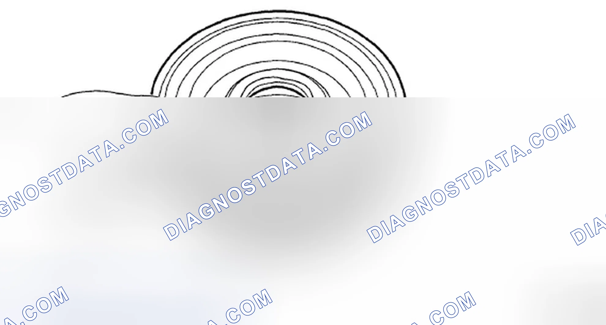 Scheme 325: ASSEMBLY