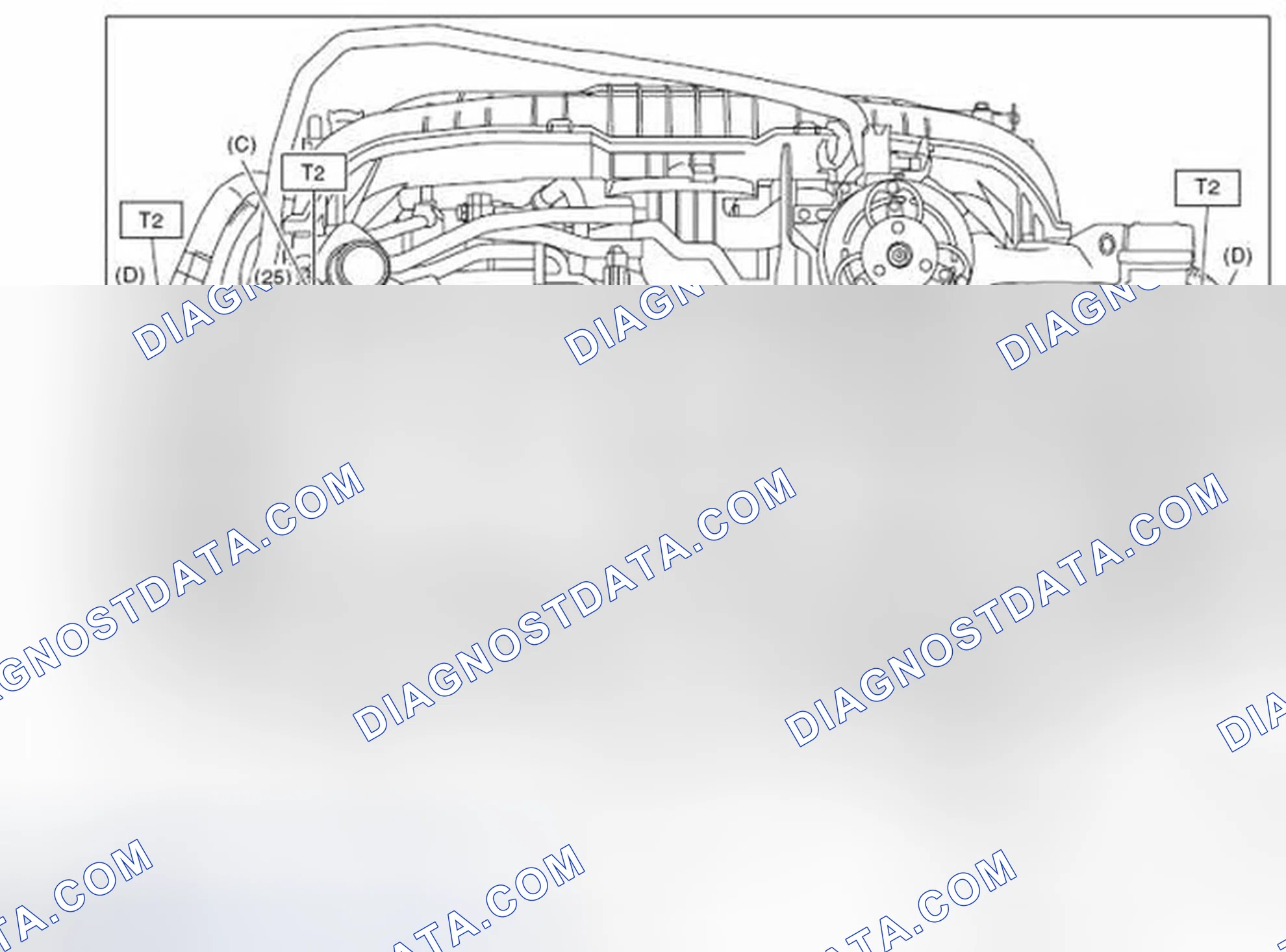 Scheme 546