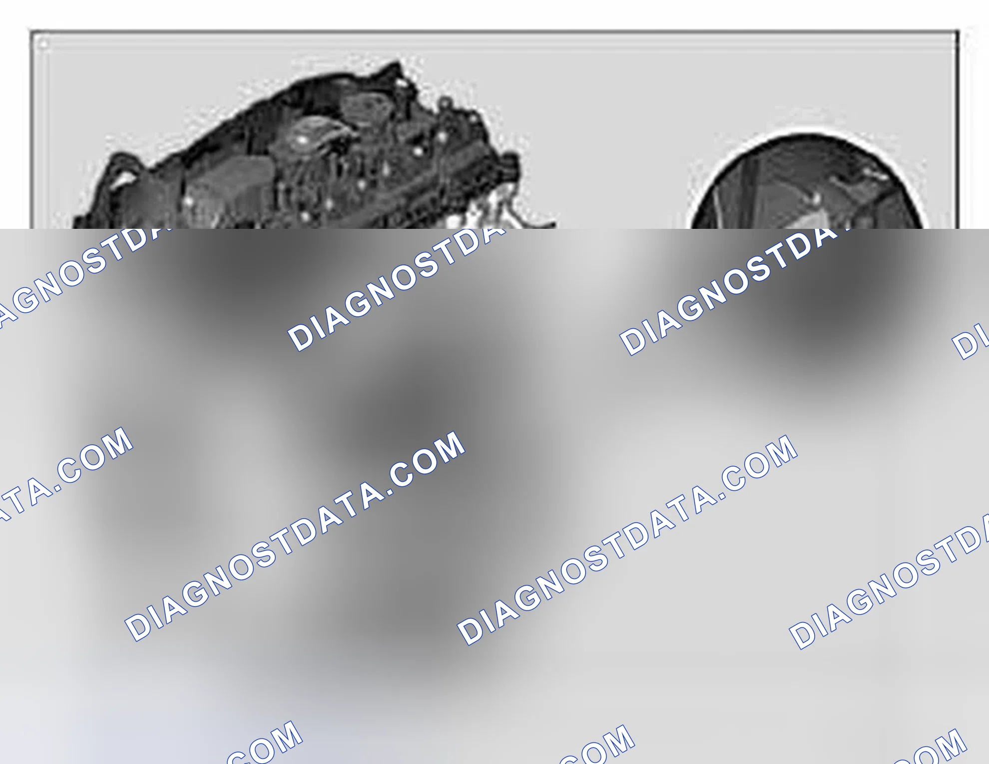 Scheme 46: Engine Identification