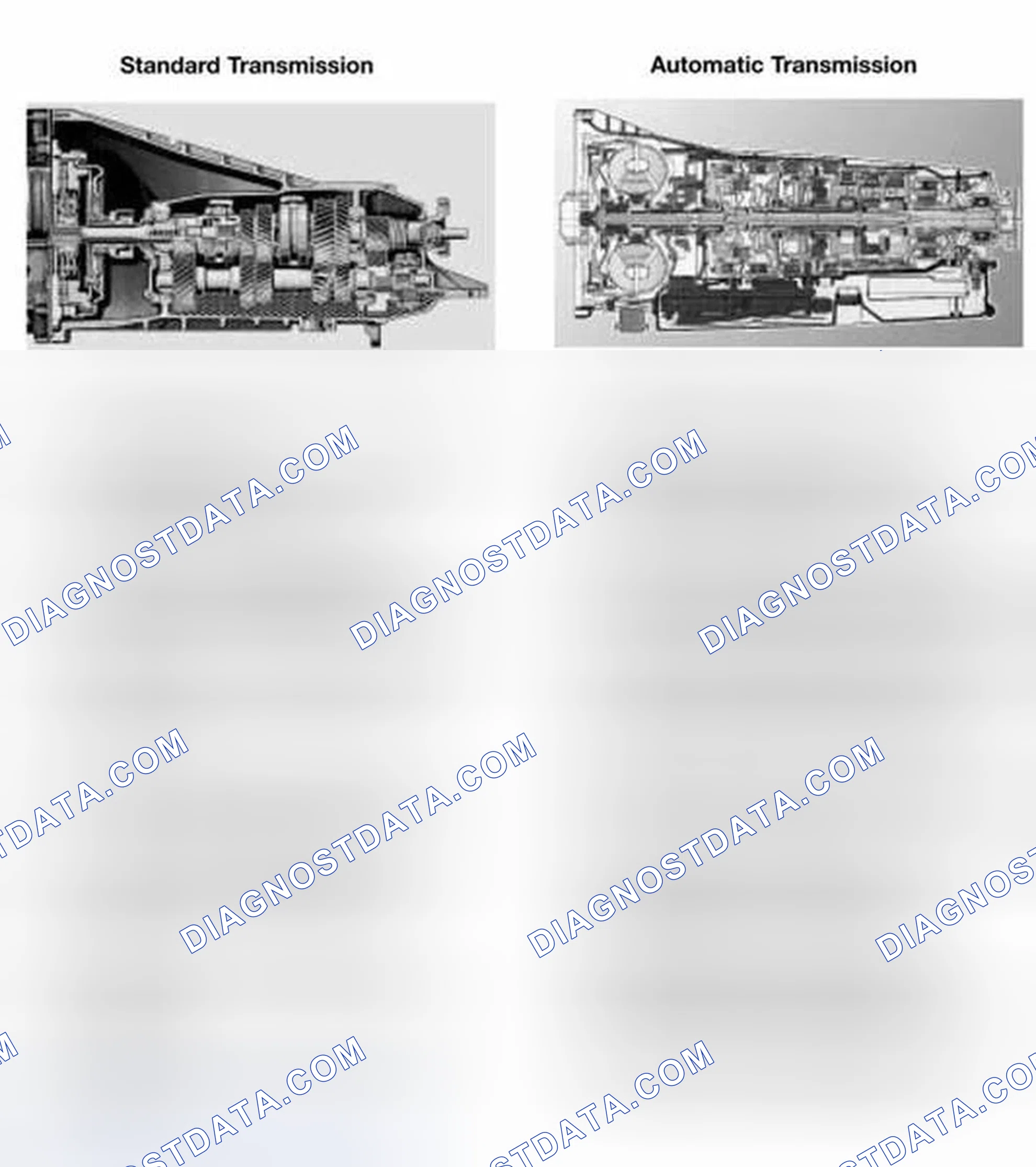 Scheme 6: STANDARD/AUTOMATIC TRANSMISSION