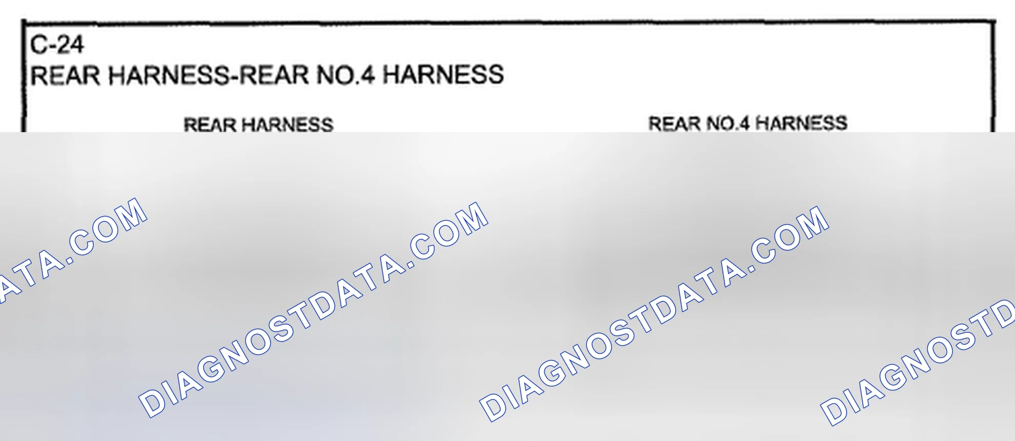 Scheme 55: Identifying Rear Harness No.4 Connector Terminals (C-24)