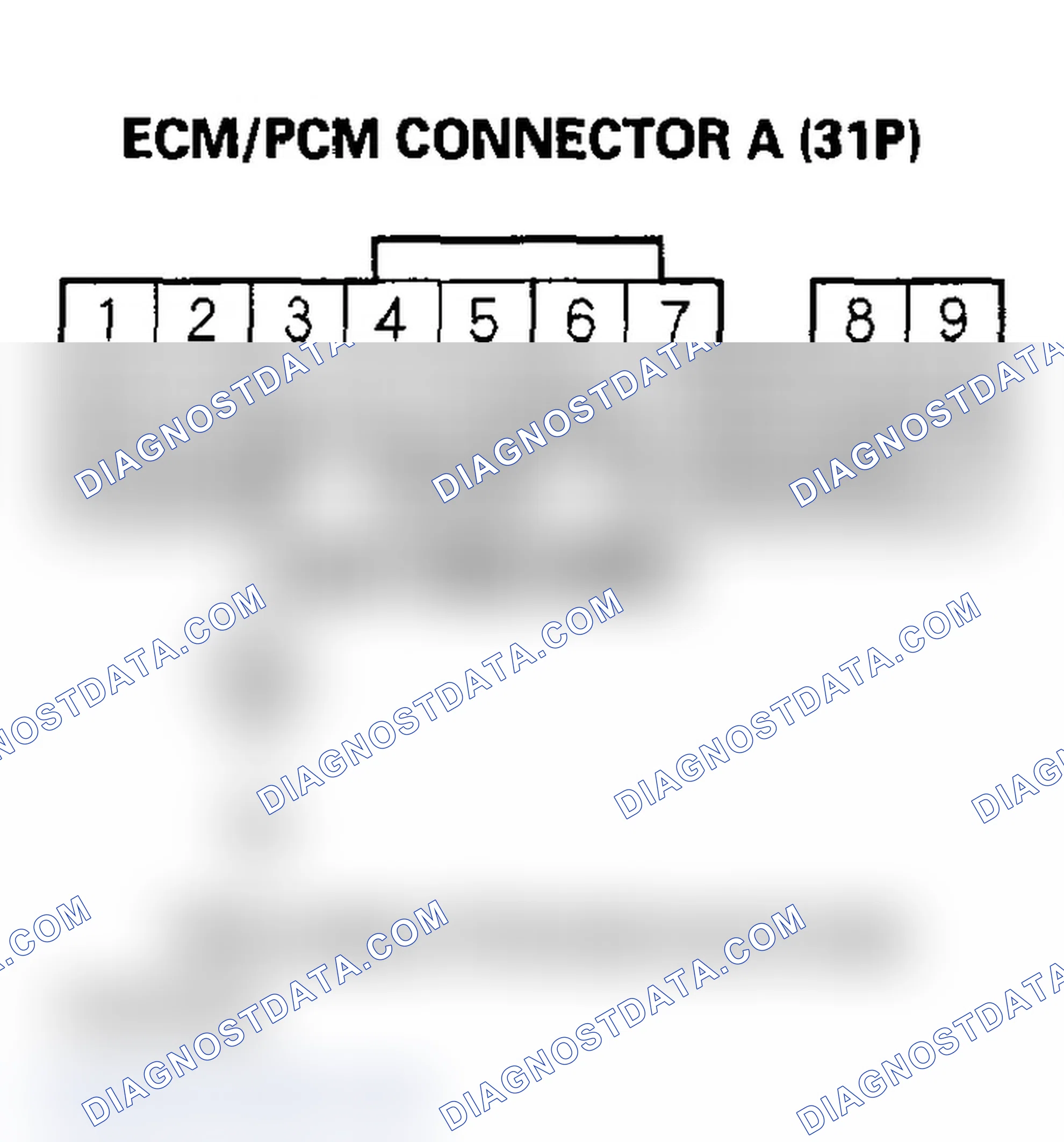 Scheme 384