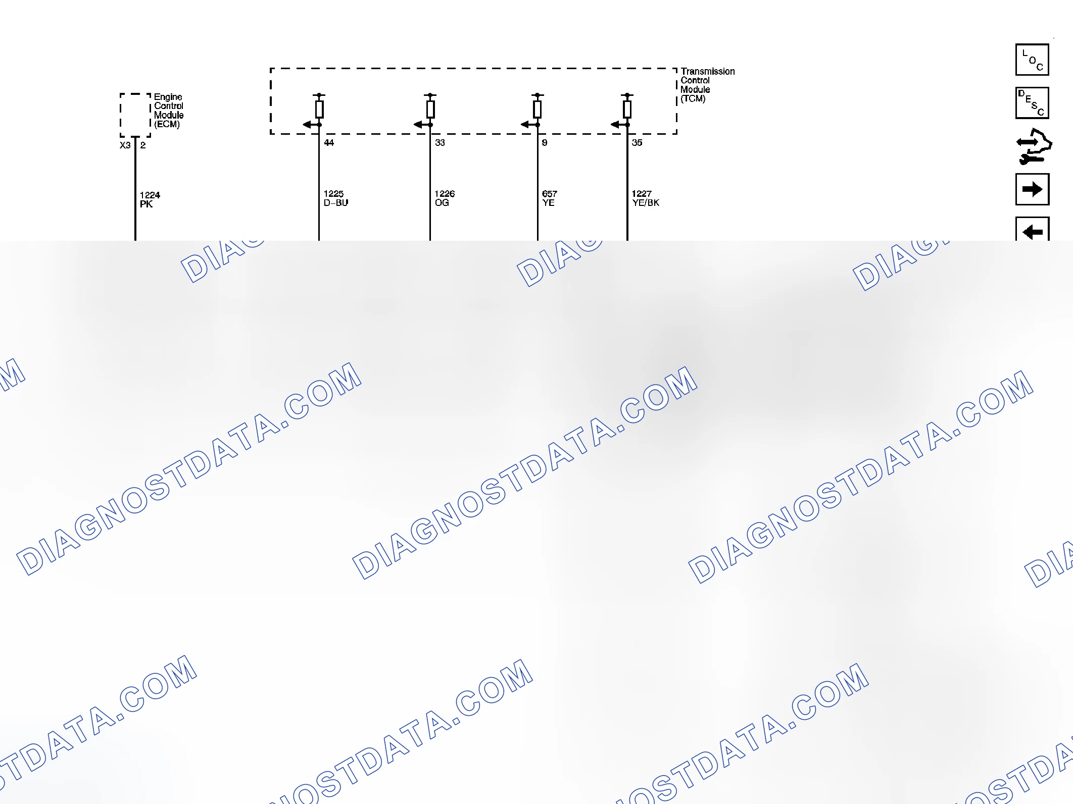 Scheme 304