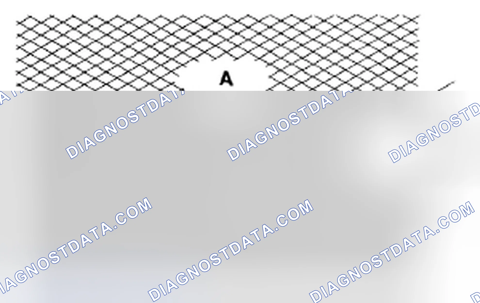 Scheme 458: Cylinder Bore Honing