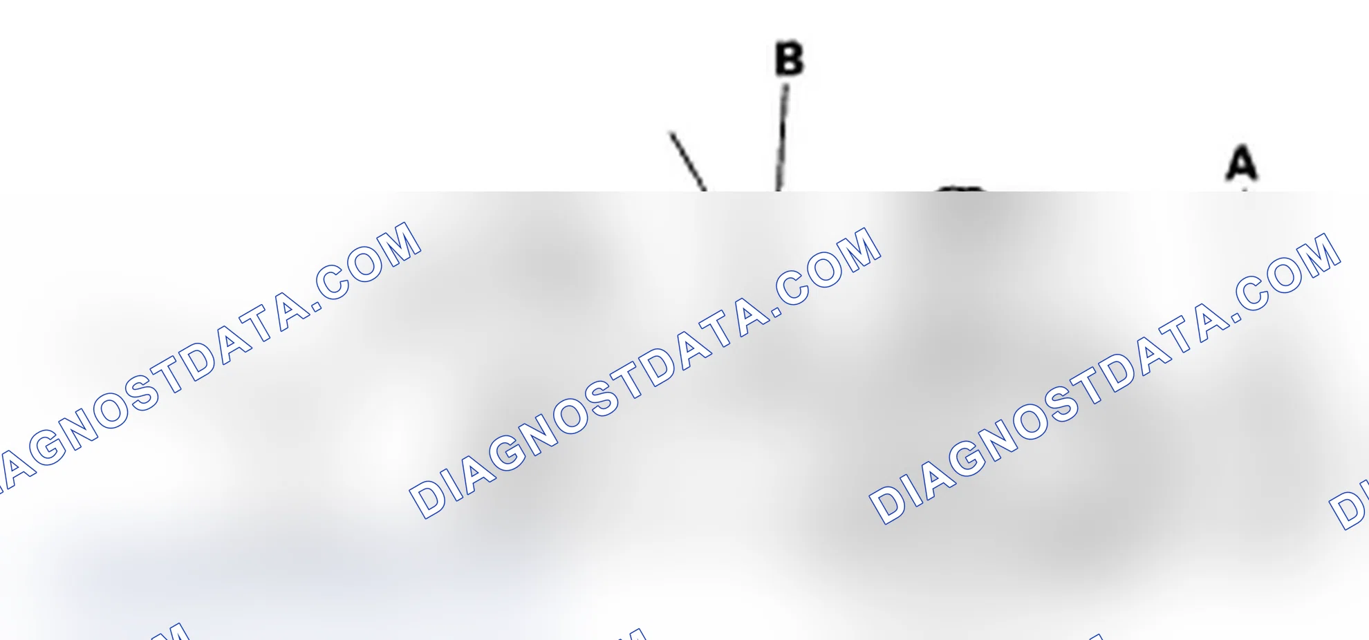Scheme 2: Radiator Cap Test