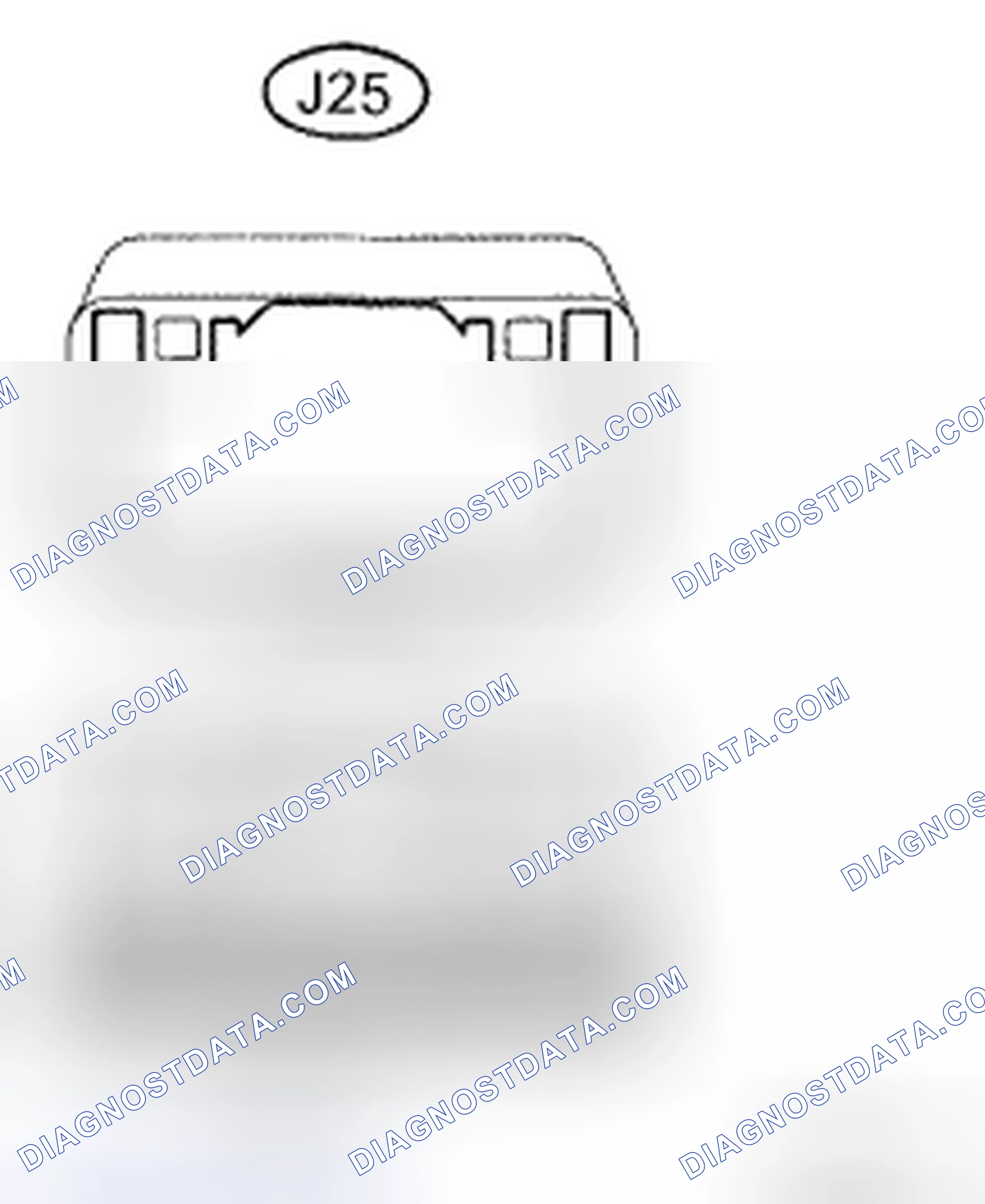 Scheme 25: INSPECTION PROCEDURE