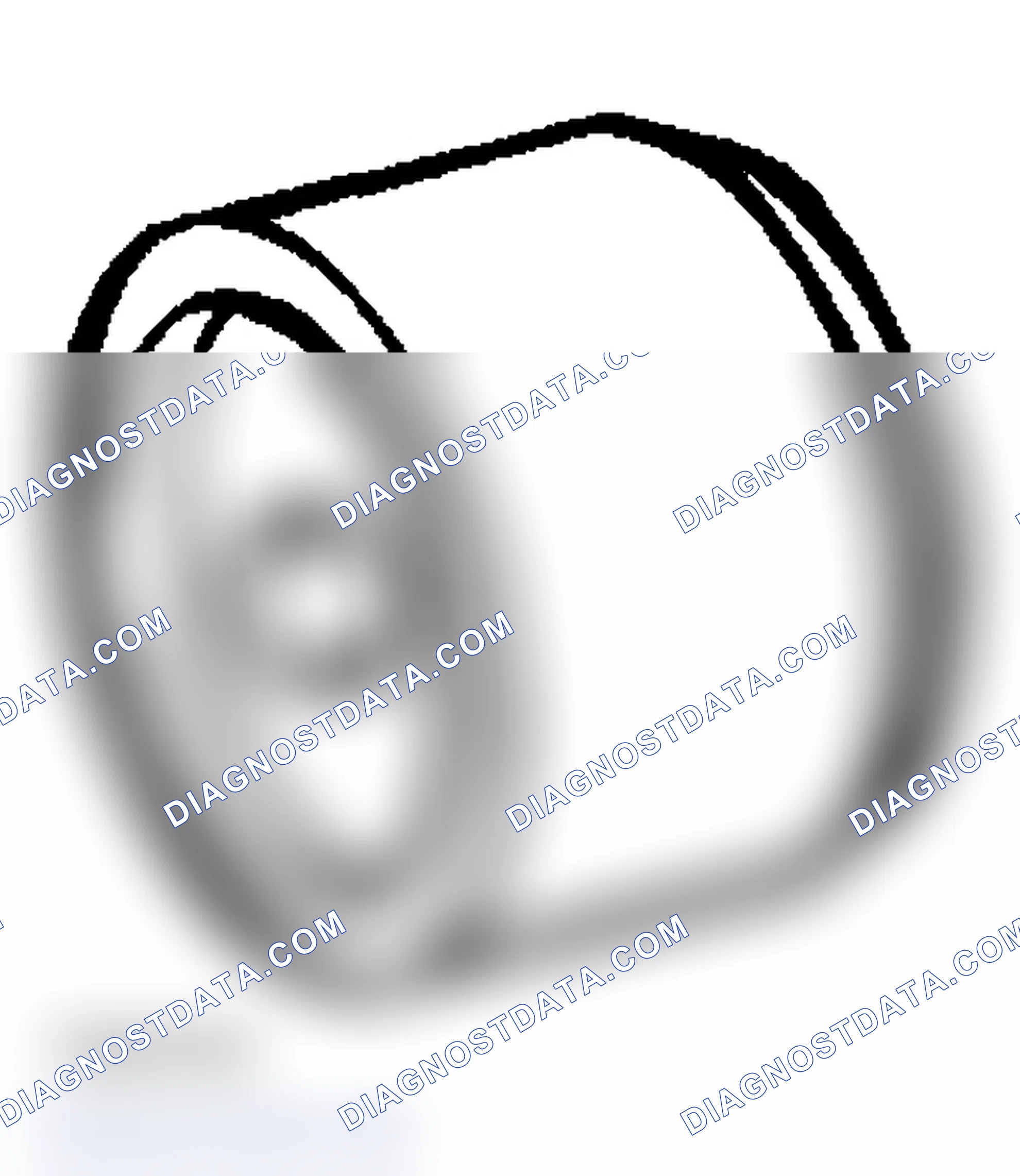 Scheme 1: SPECIAL TOOLS
