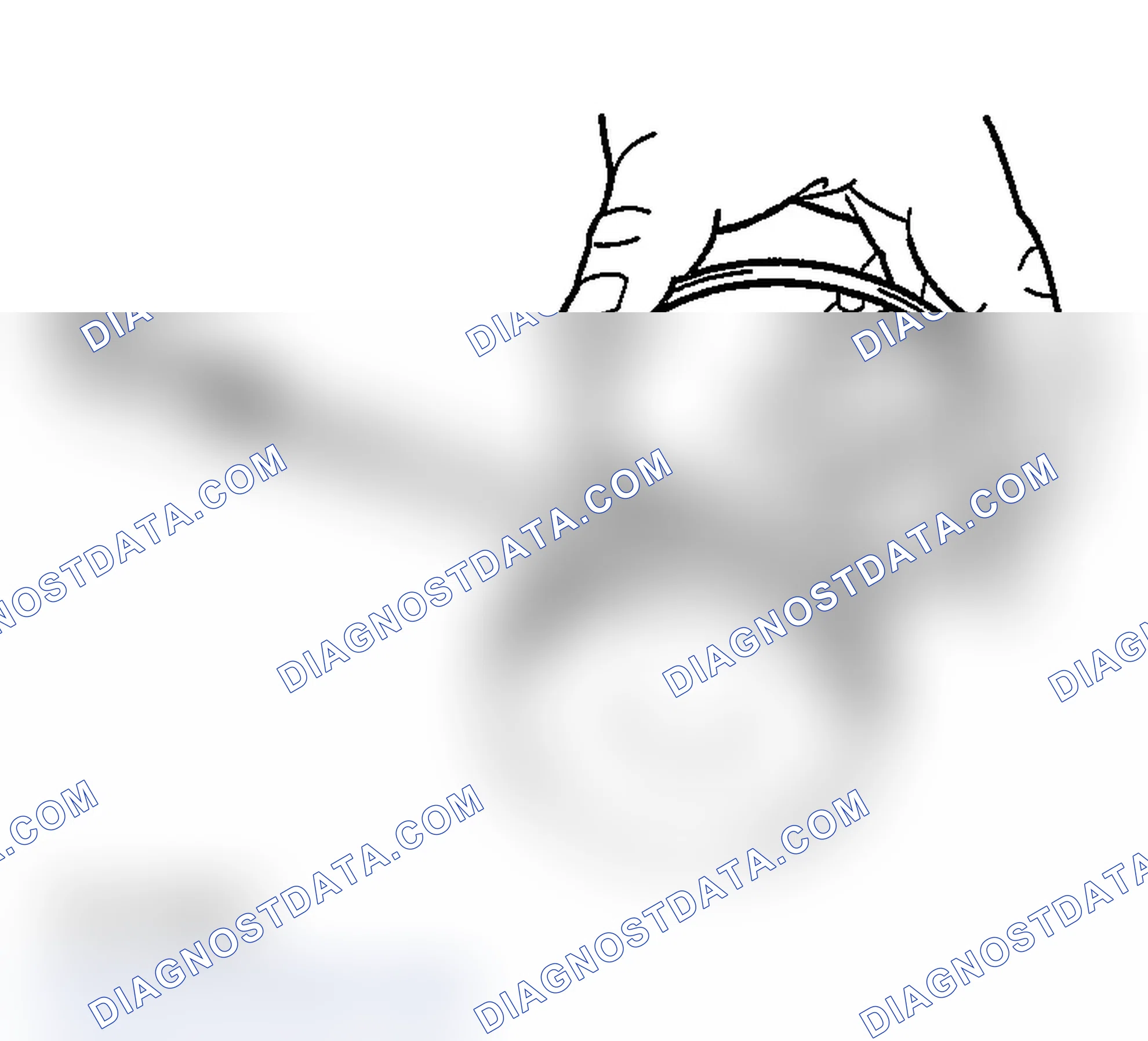 Scheme 739: PISTON RING