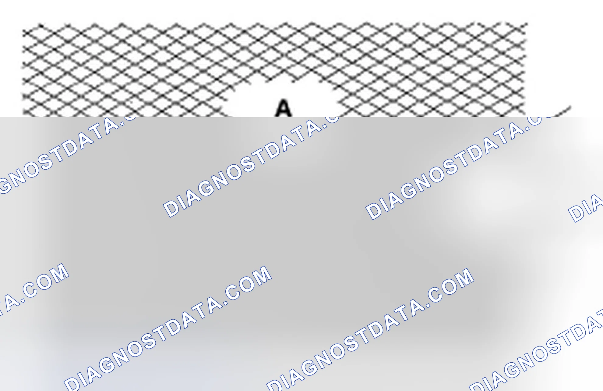 Scheme 259: Cylinder Bore Honing