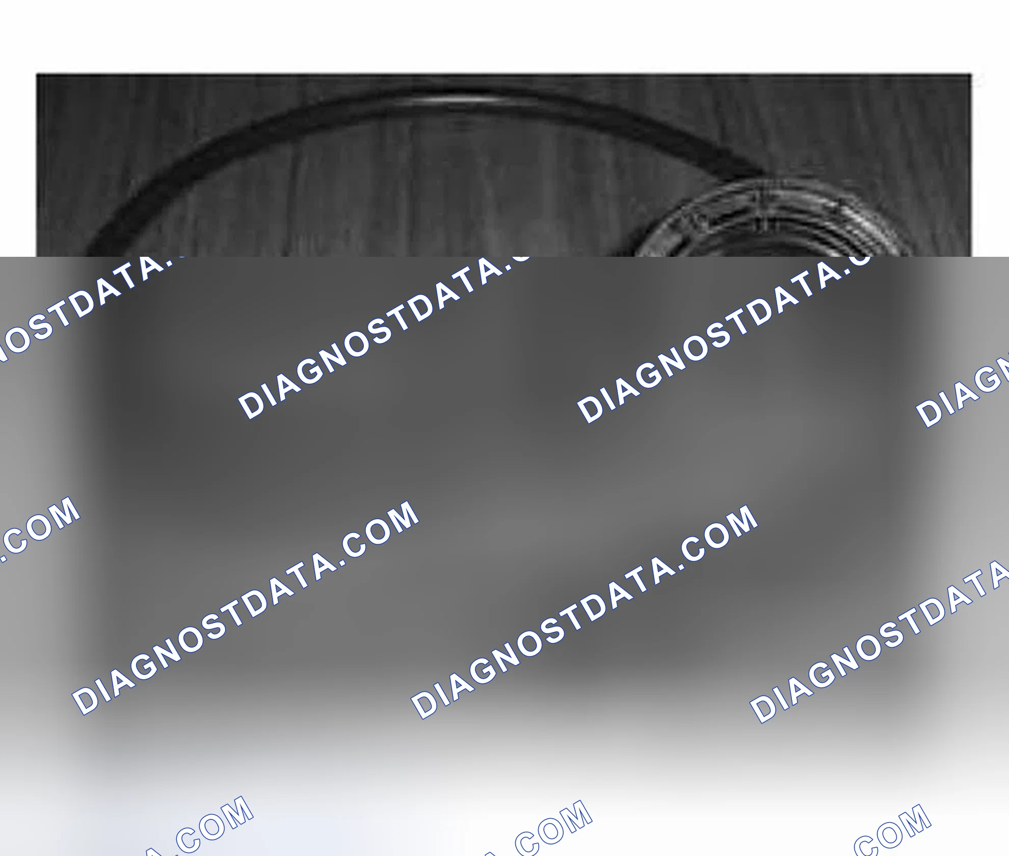 Scheme 544: Diagnostic Cable