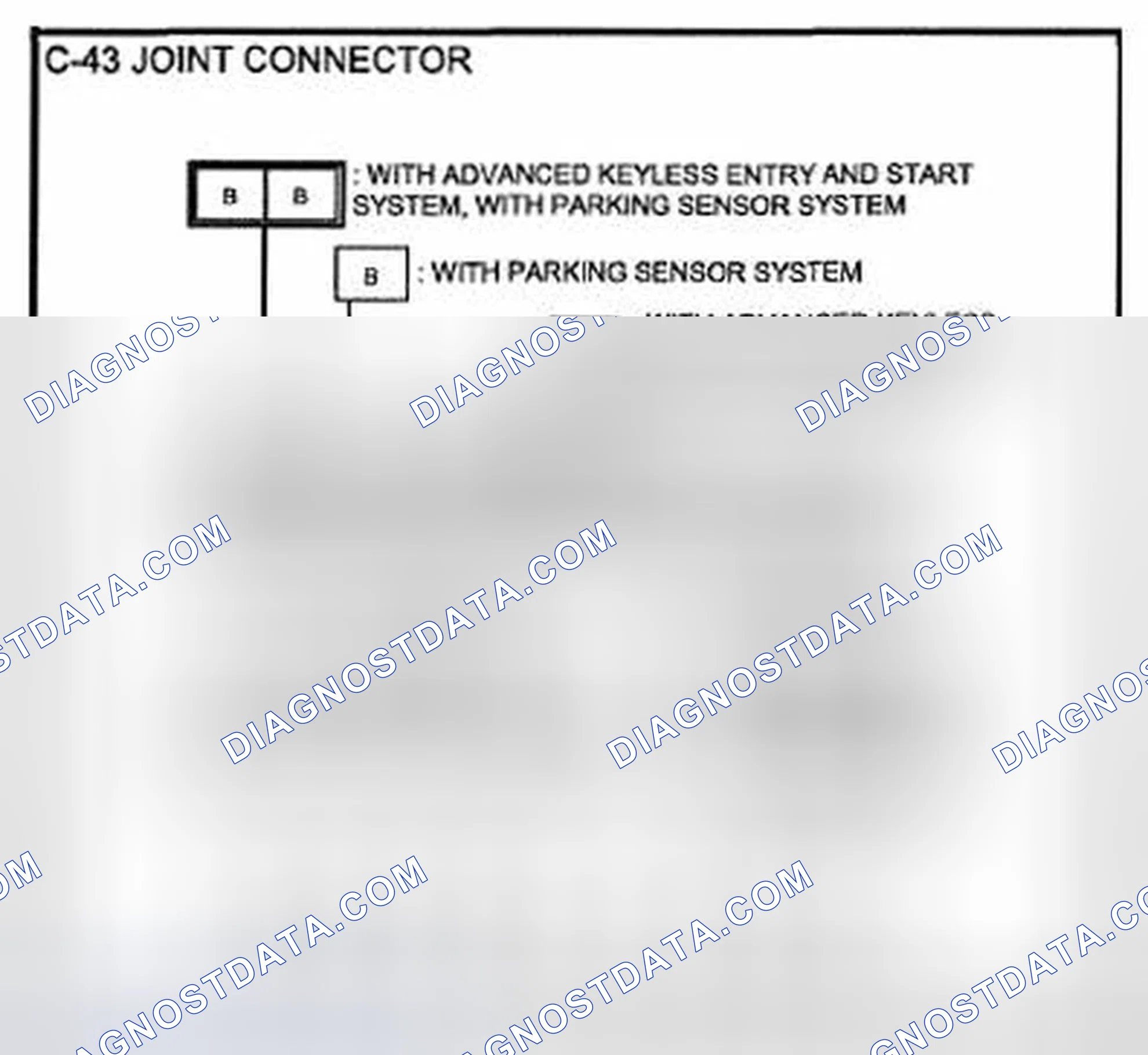 Scheme 66: Identifying Joint Connector Terminals (C-43)
