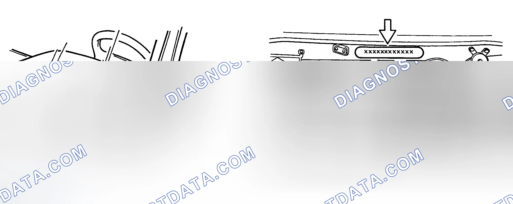 Scheme 37: IDENTIFICATION
