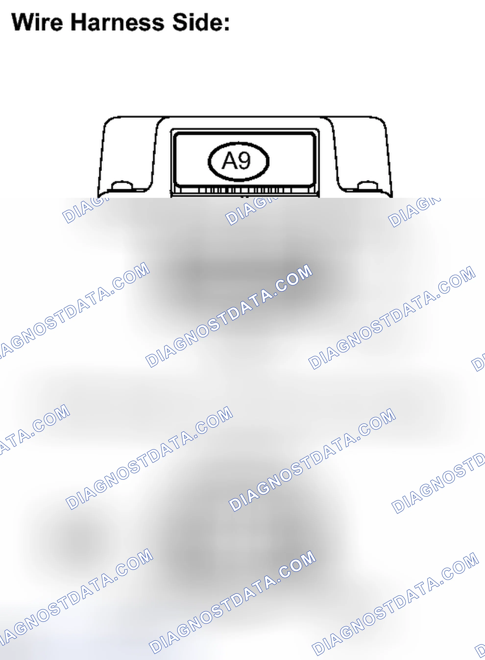 Scheme 404
