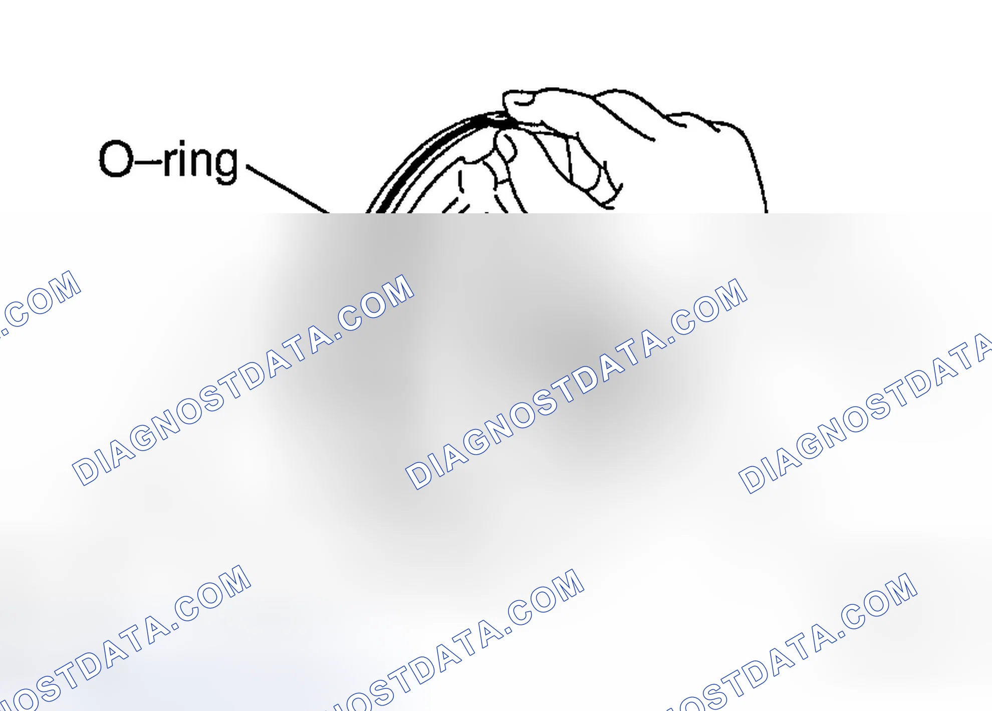 Scheme 776
