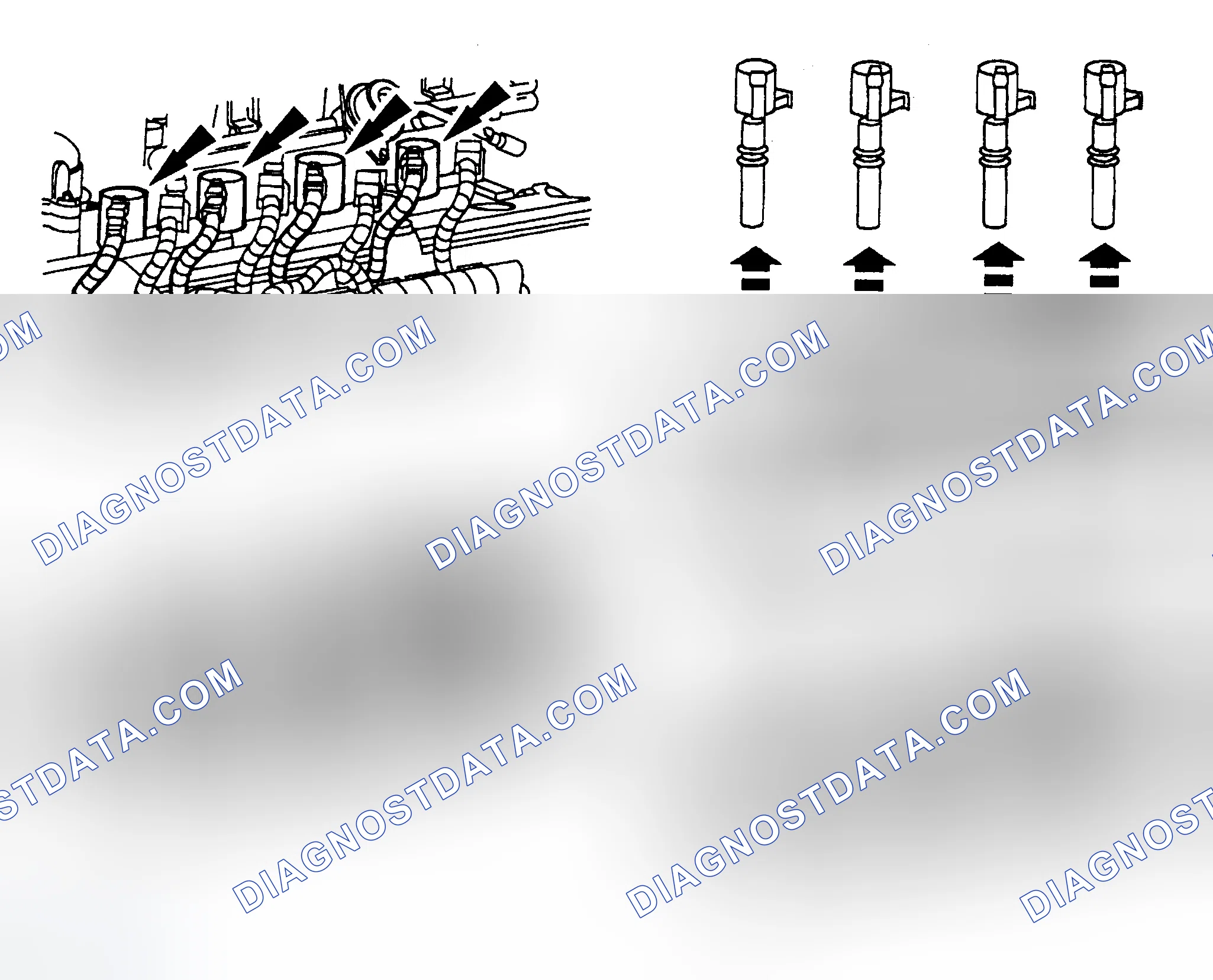 Scheme 4: Spark Plug Coils (4.6L Coil On Plug)
