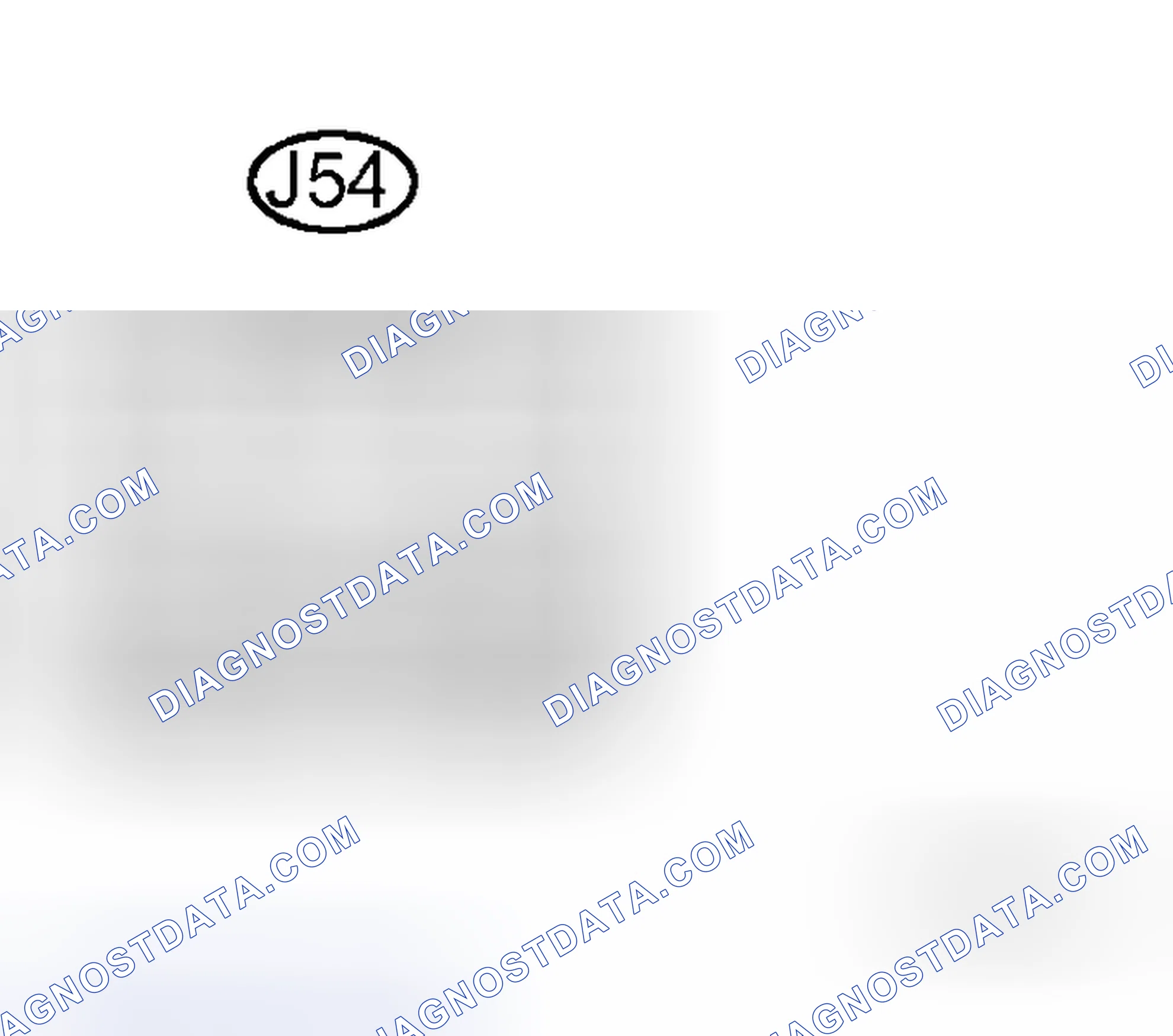 Scheme 54: INSPECTION PROCEDURE