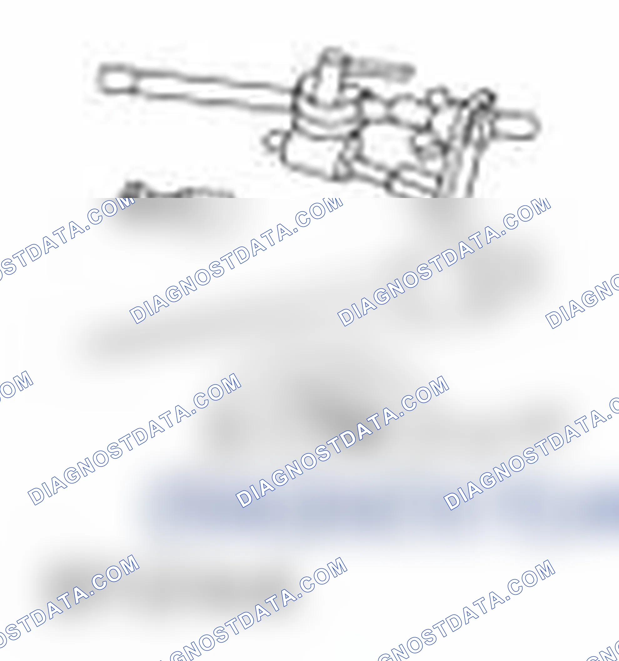 Scheme 423: Special Tool(s)