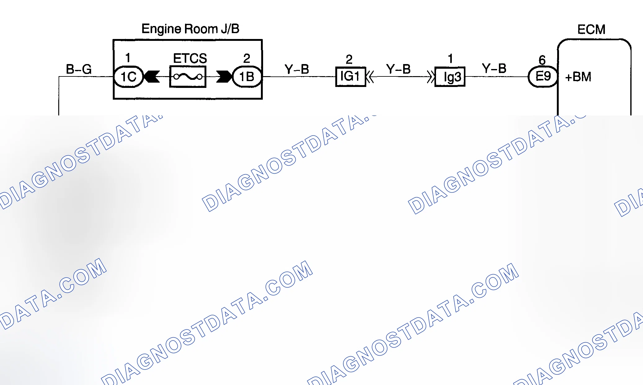 Scheme 521: WIRING DIAGRAM