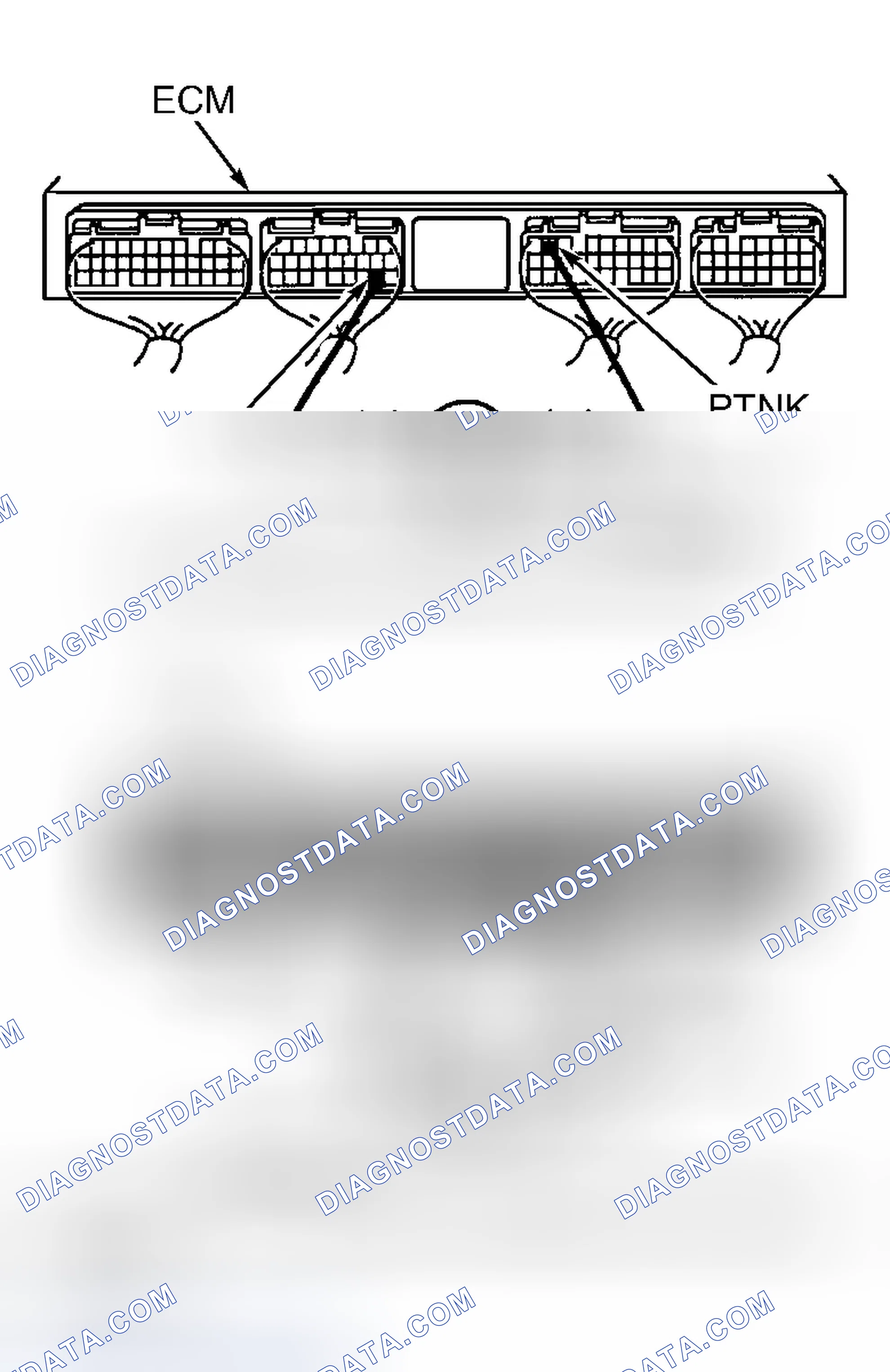 Scheme 217