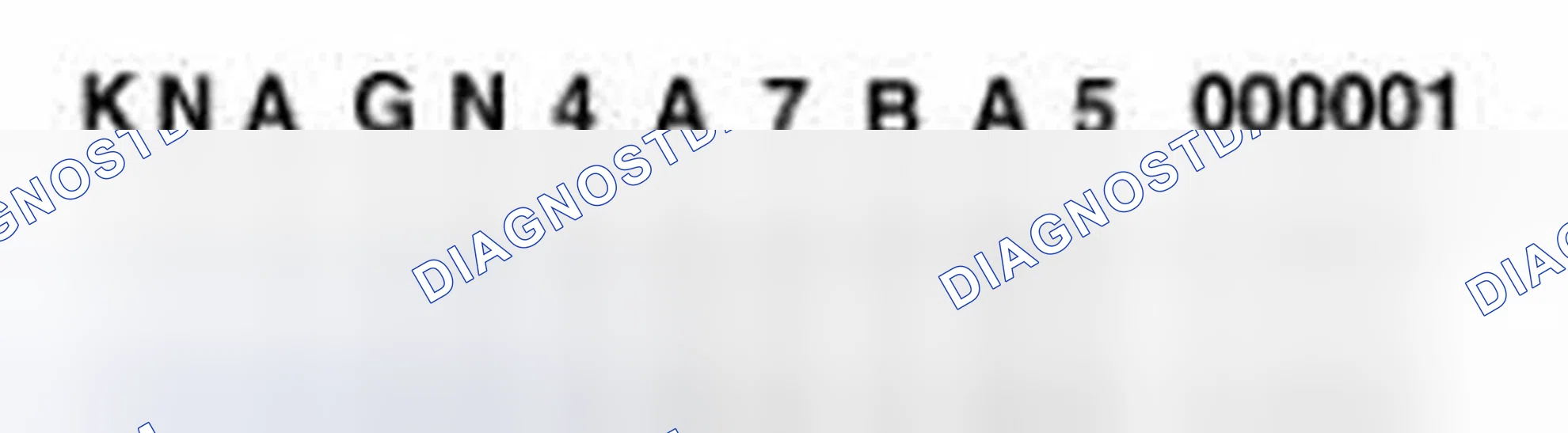 Scheme 6: Vehicle Identification Number