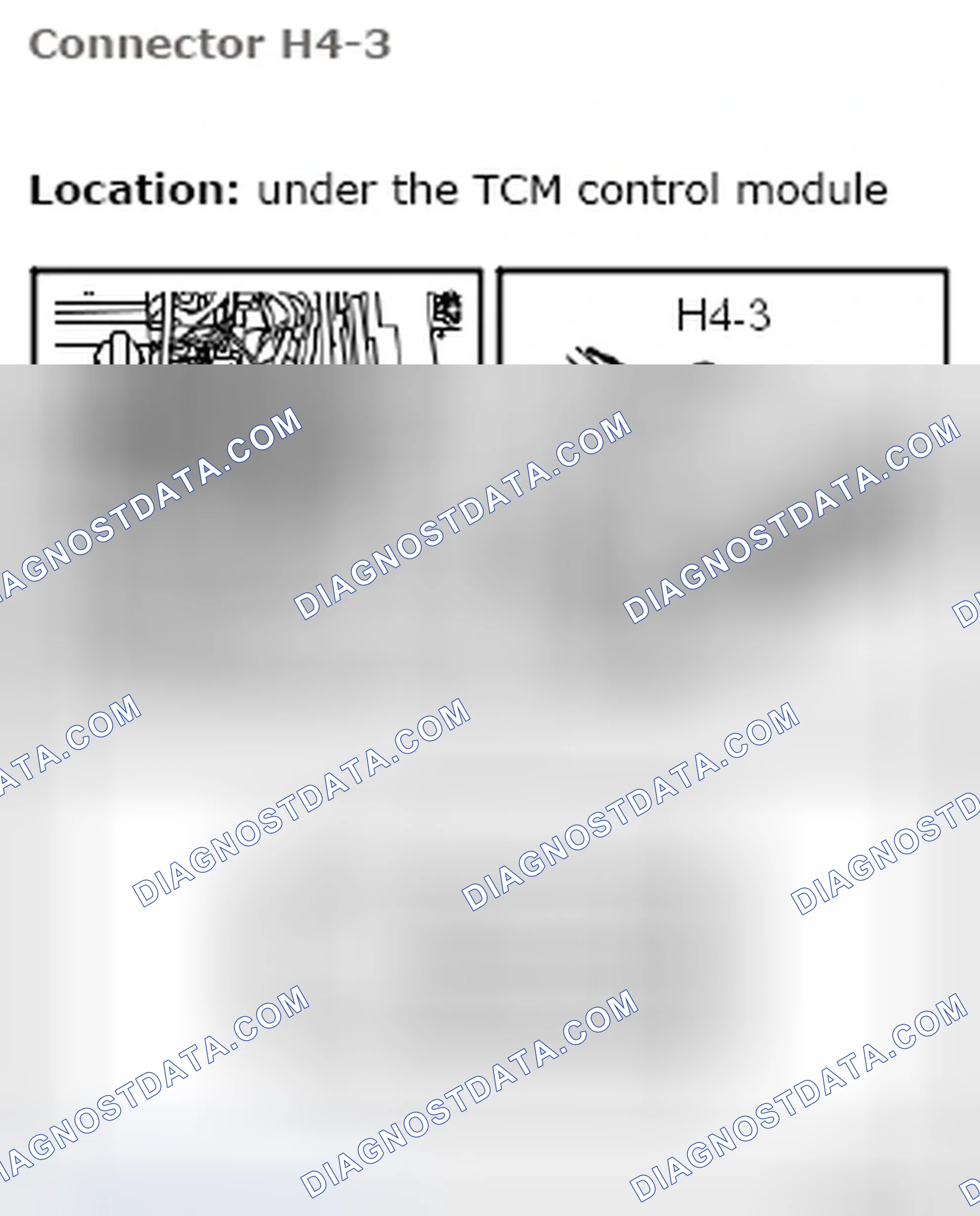 Scheme 119