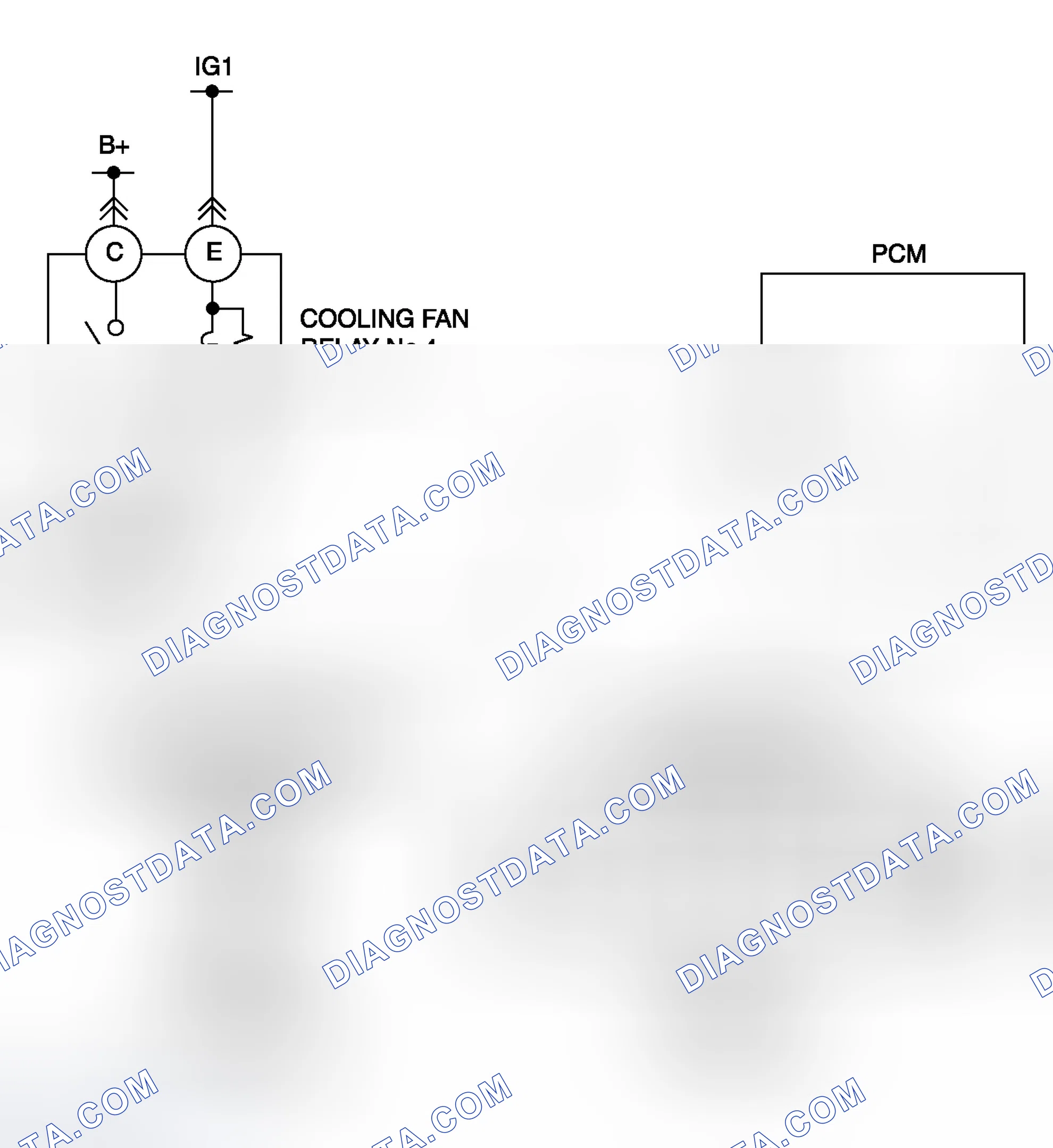 Scheme 31: Diagnostic Procedure