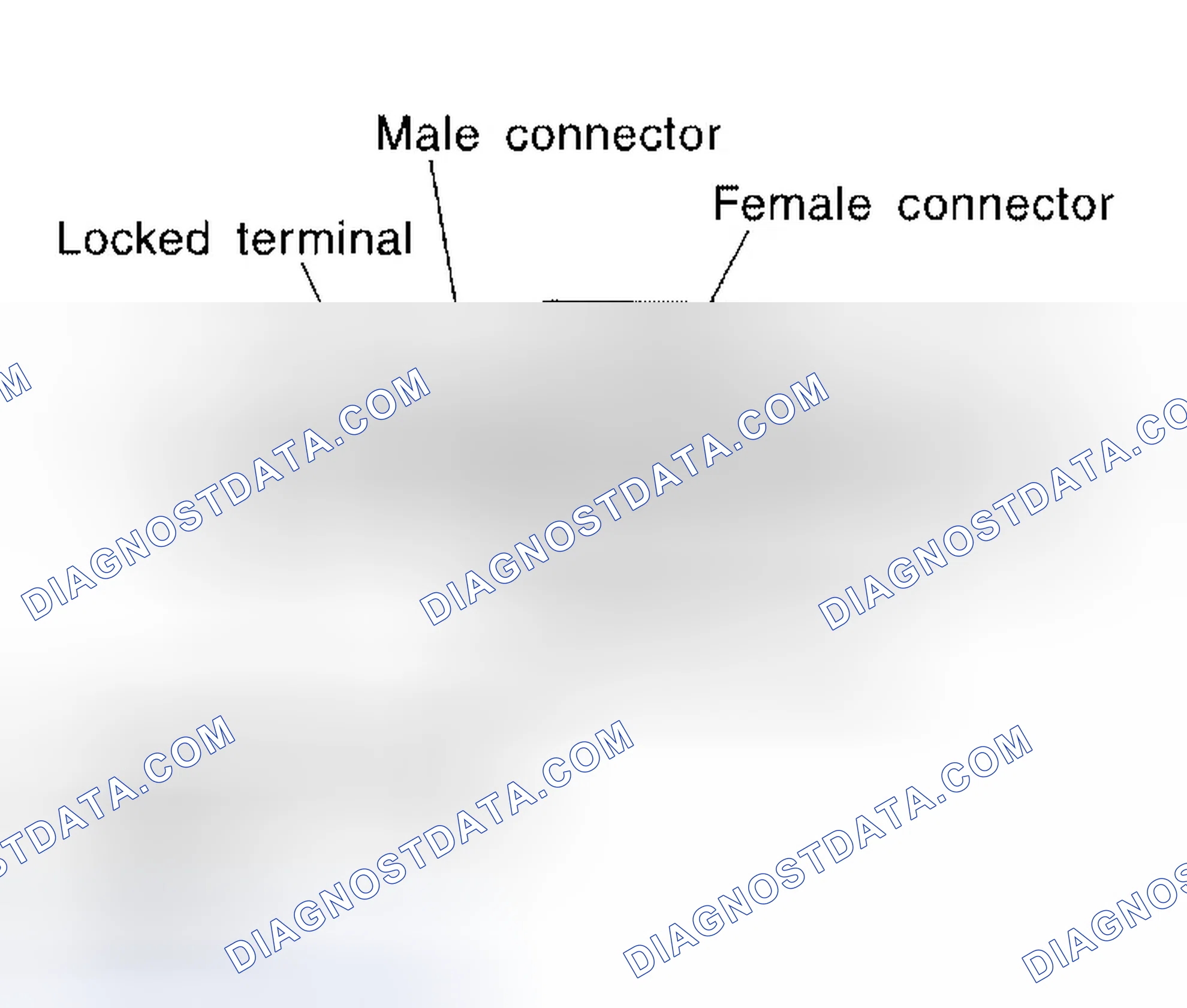 Scheme 3: Terminal Lock Inspection
