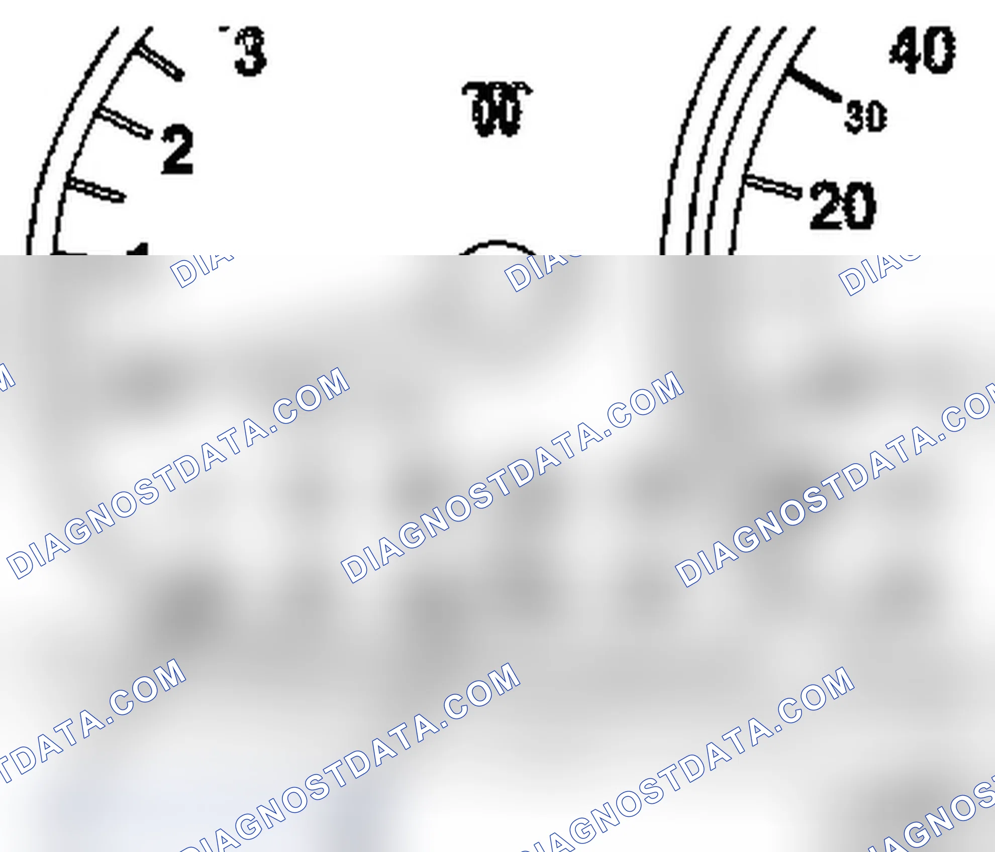Diagnosis Instructions for Vehicles with Petrol Engines