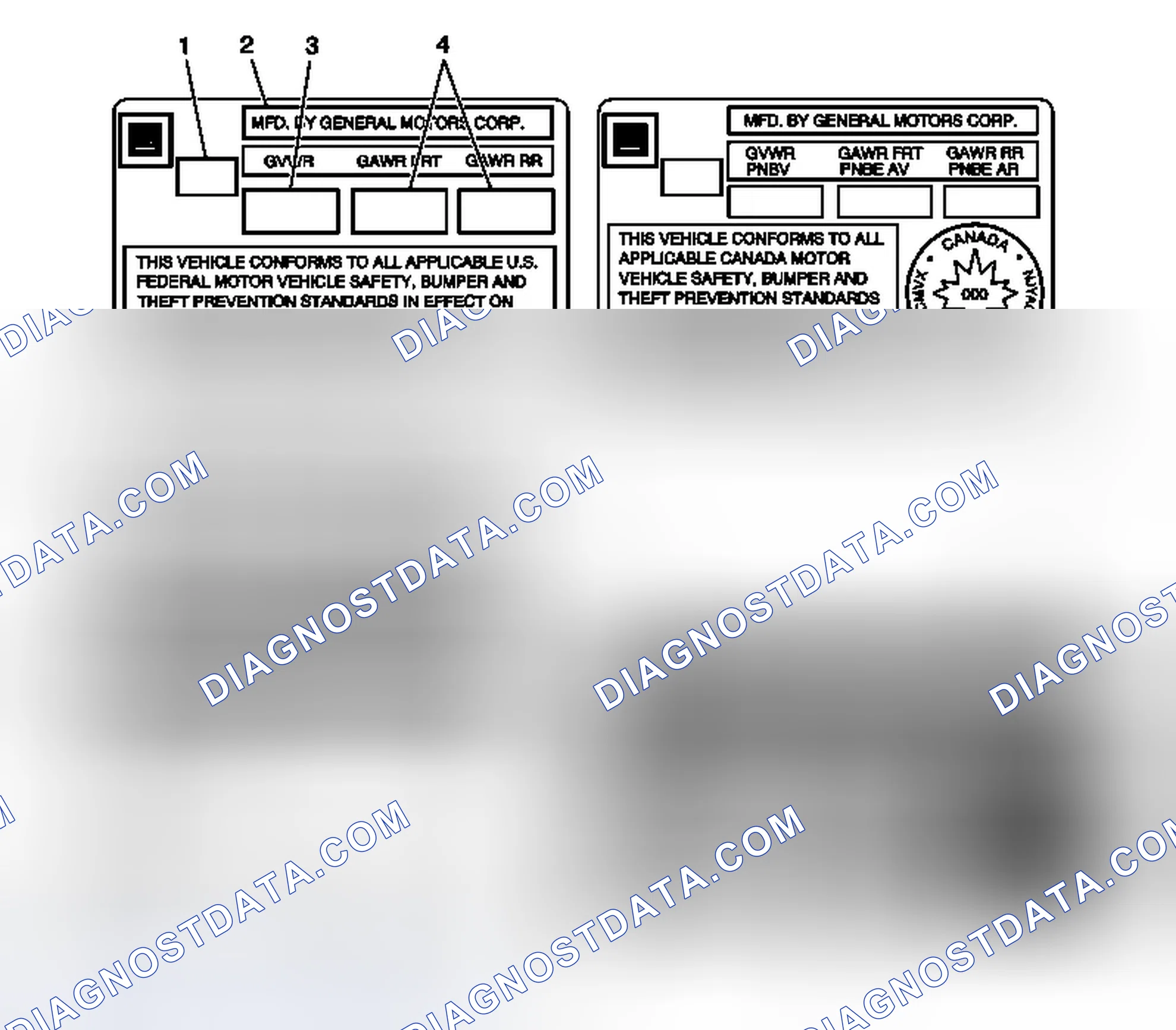 Scheme 29: Vehicle Certification, Tire Placard, Anti-Theft, and Service Parts ID Label