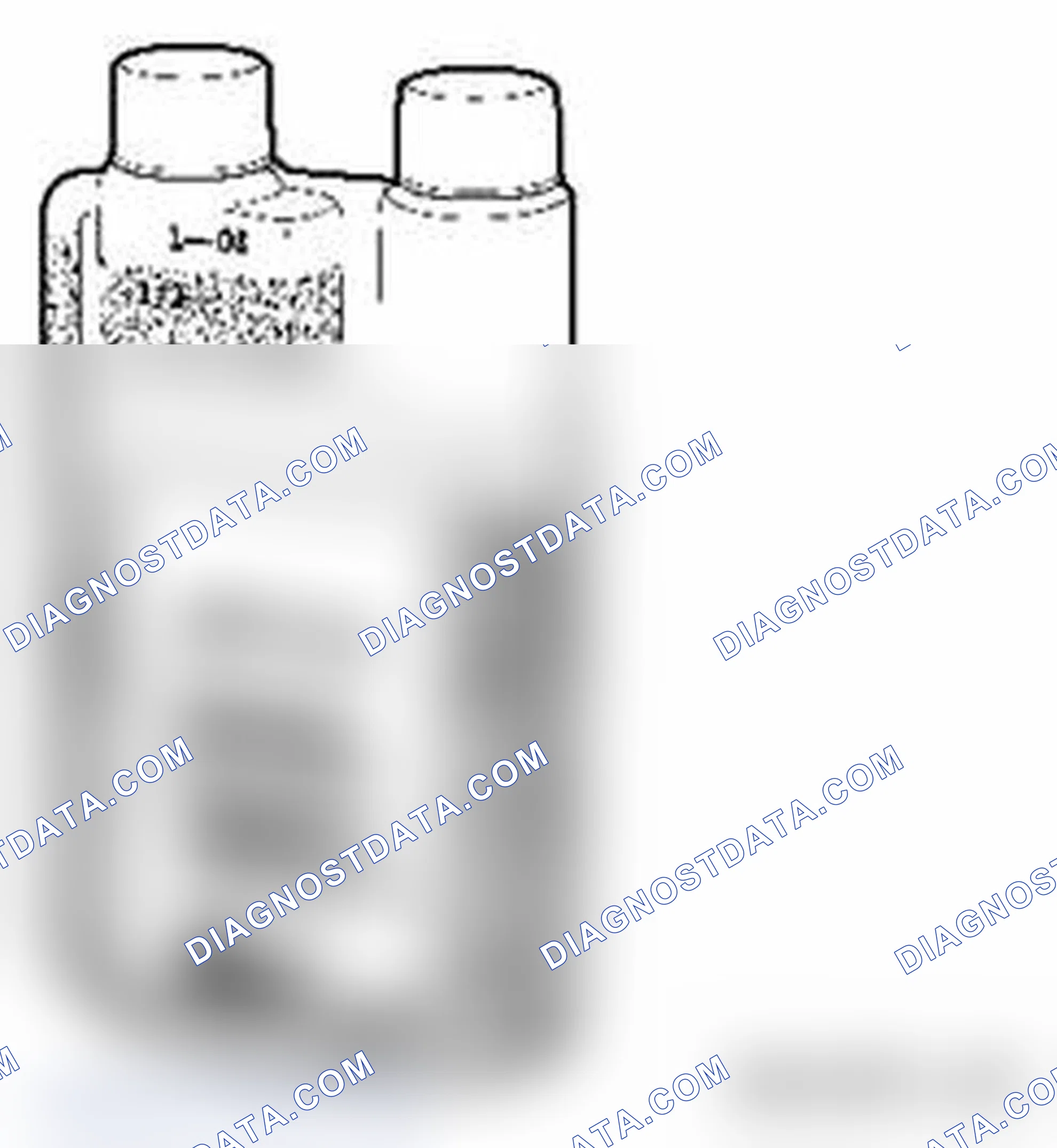 Scheme 3: 3.0 Fuel Injection and Induction System Cleaner Concentrate