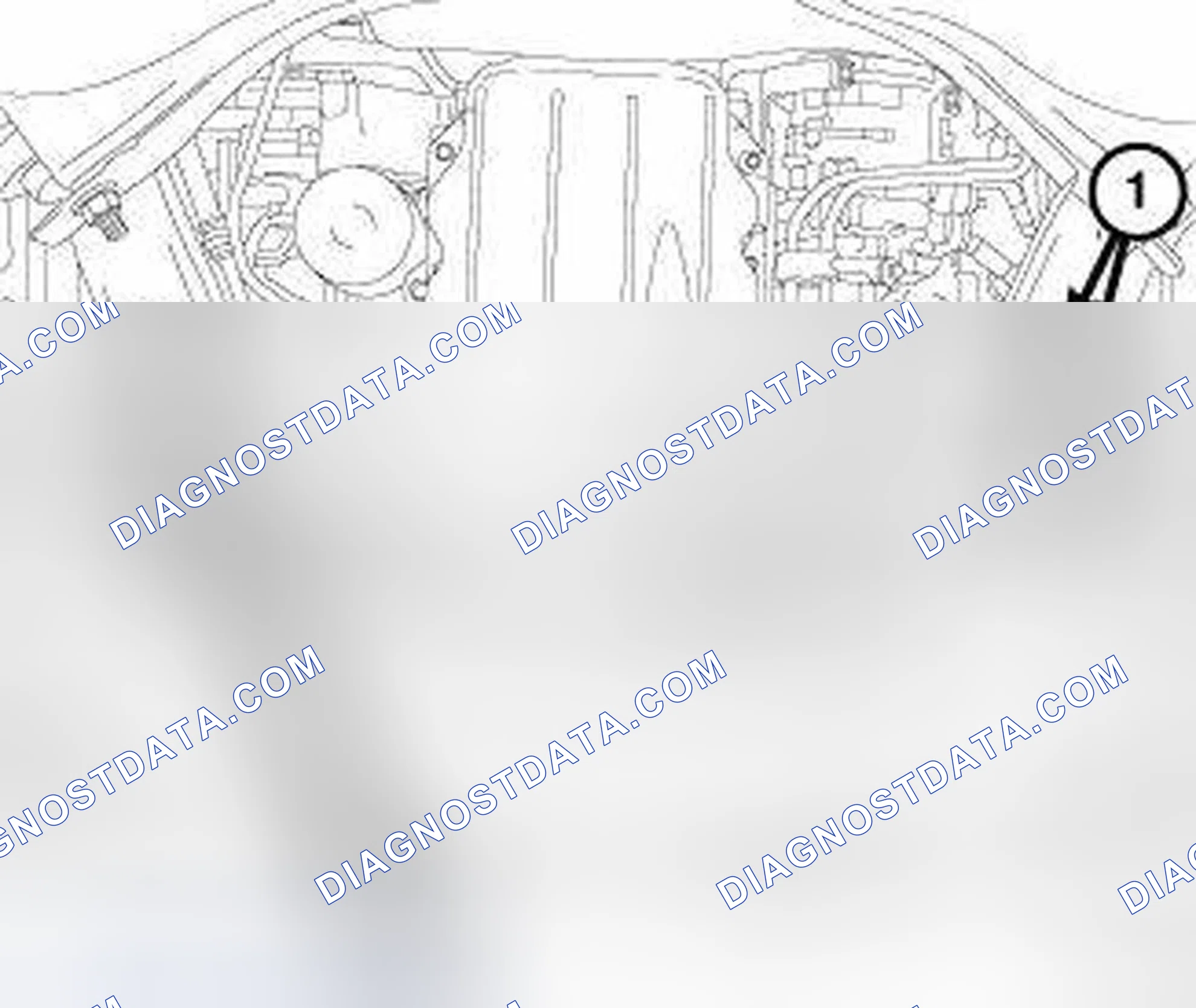Scheme 338