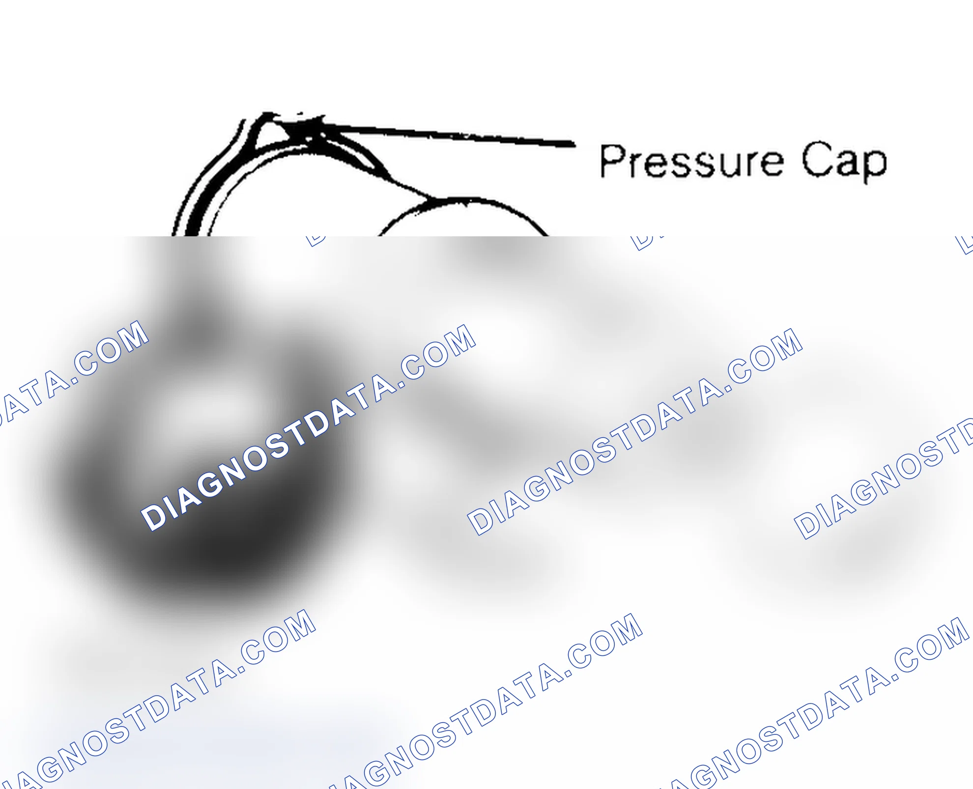 Scheme 2: Pressure Testing Radiator Cap