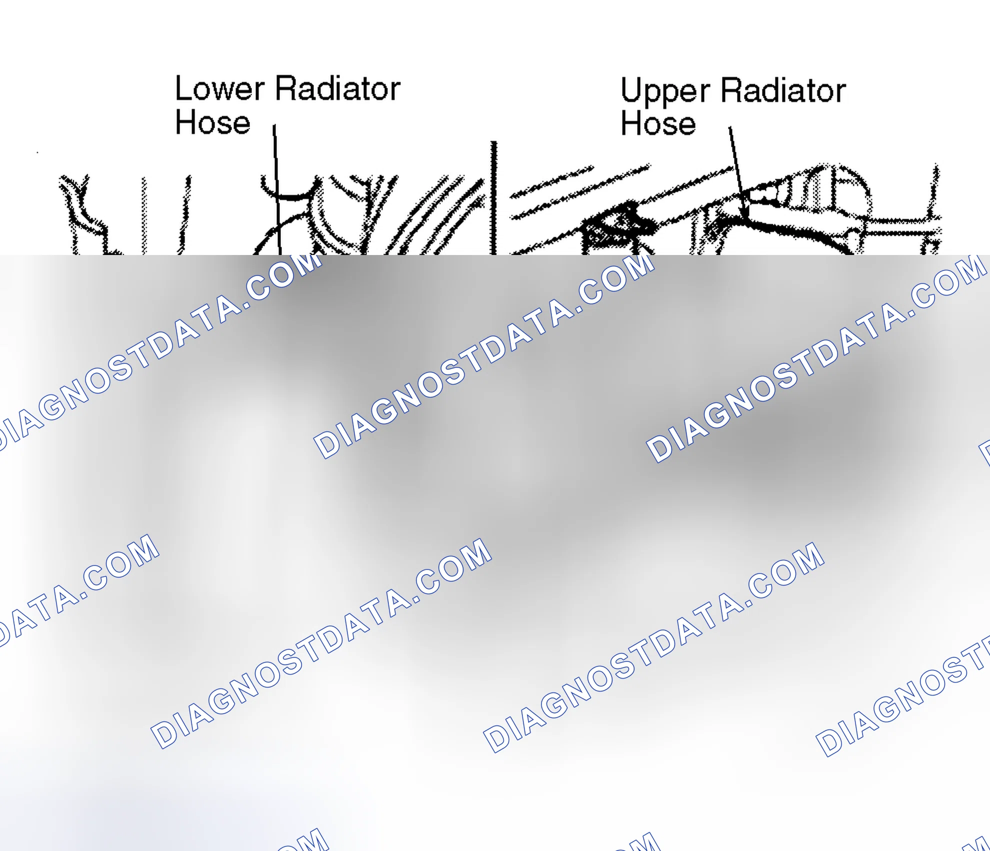Scheme 12