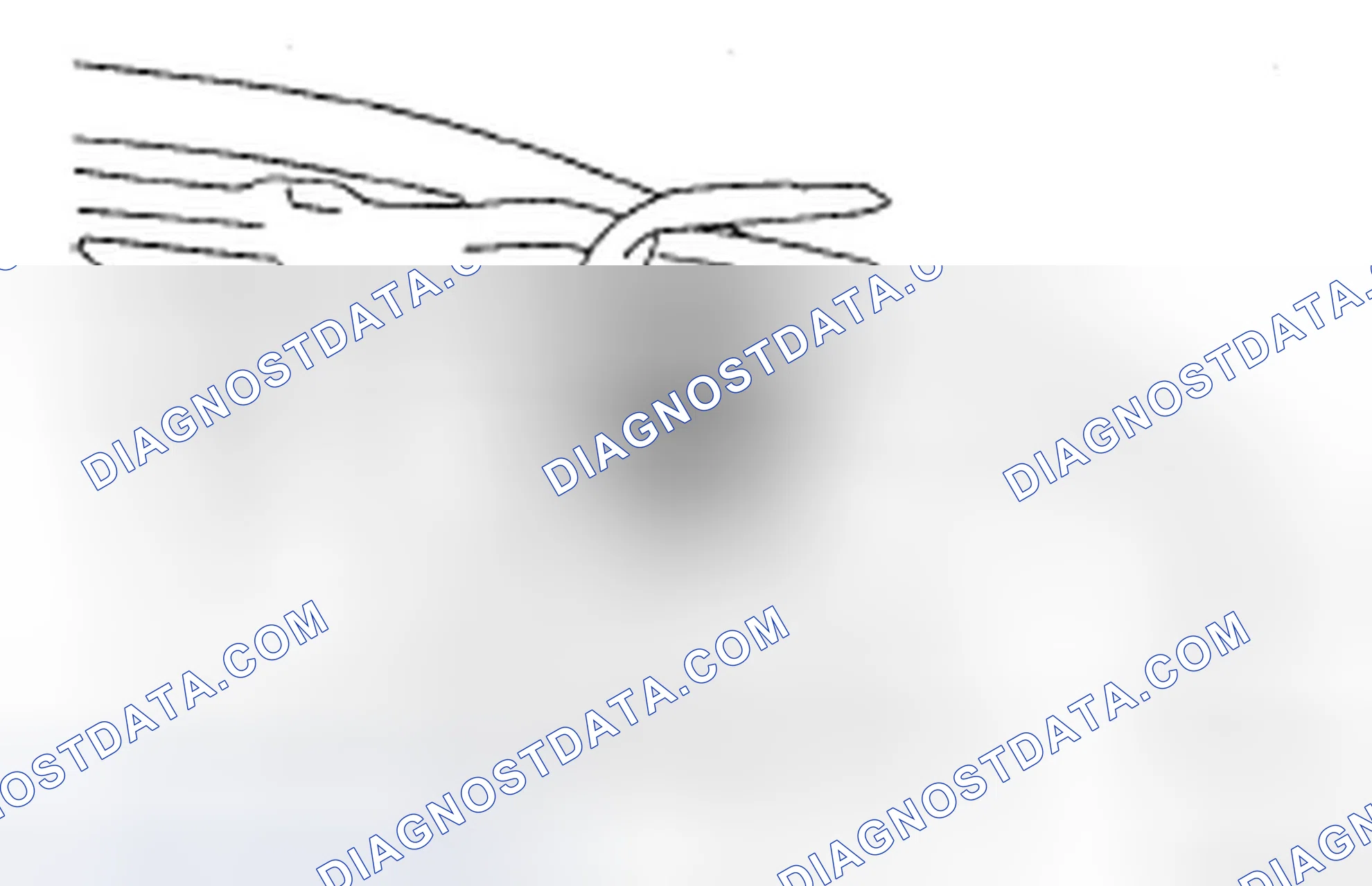 Scheme 135