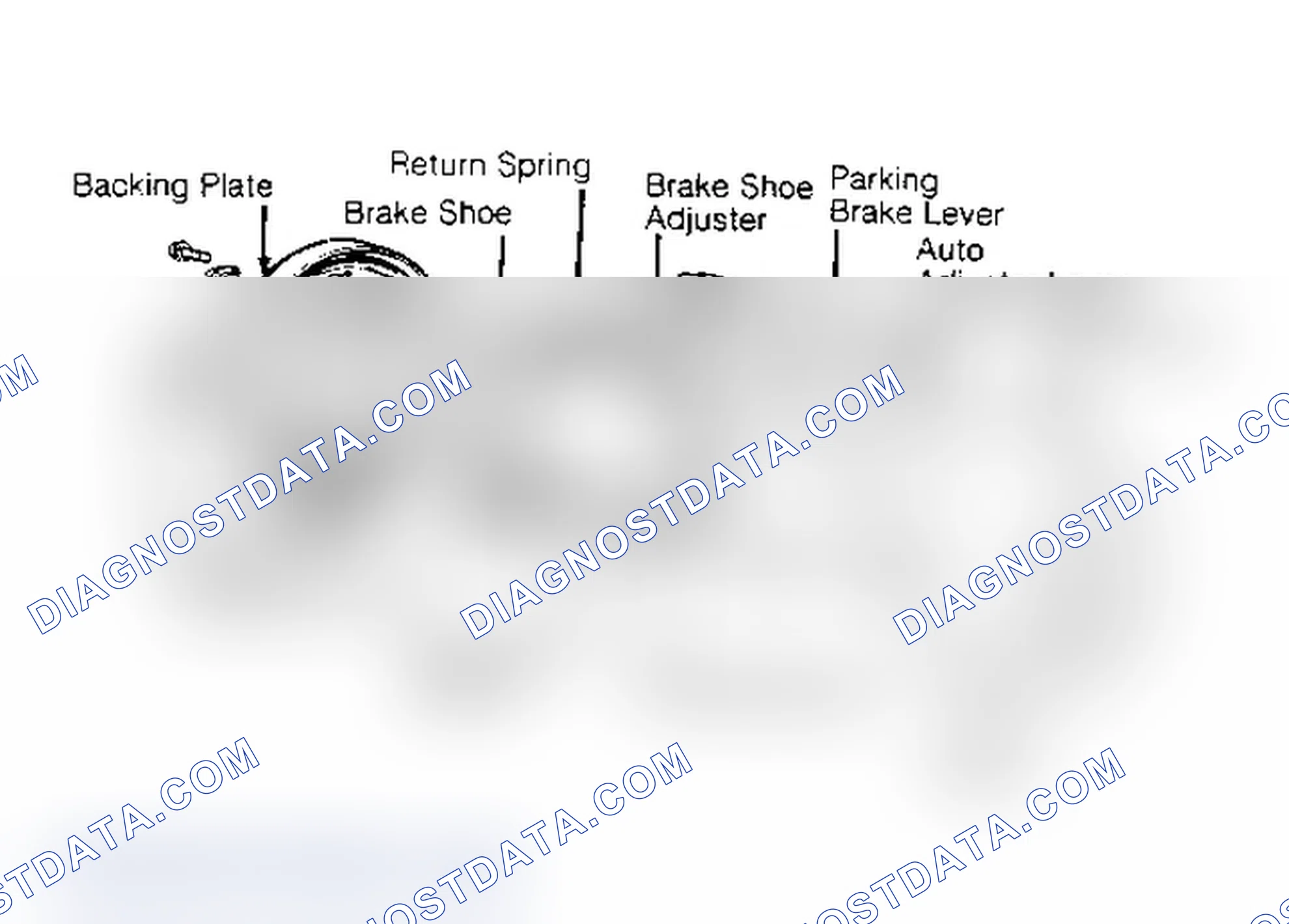 Scheme 6: Exploded View of Raider & Ram-50 Pickup Rear Brake Assembly