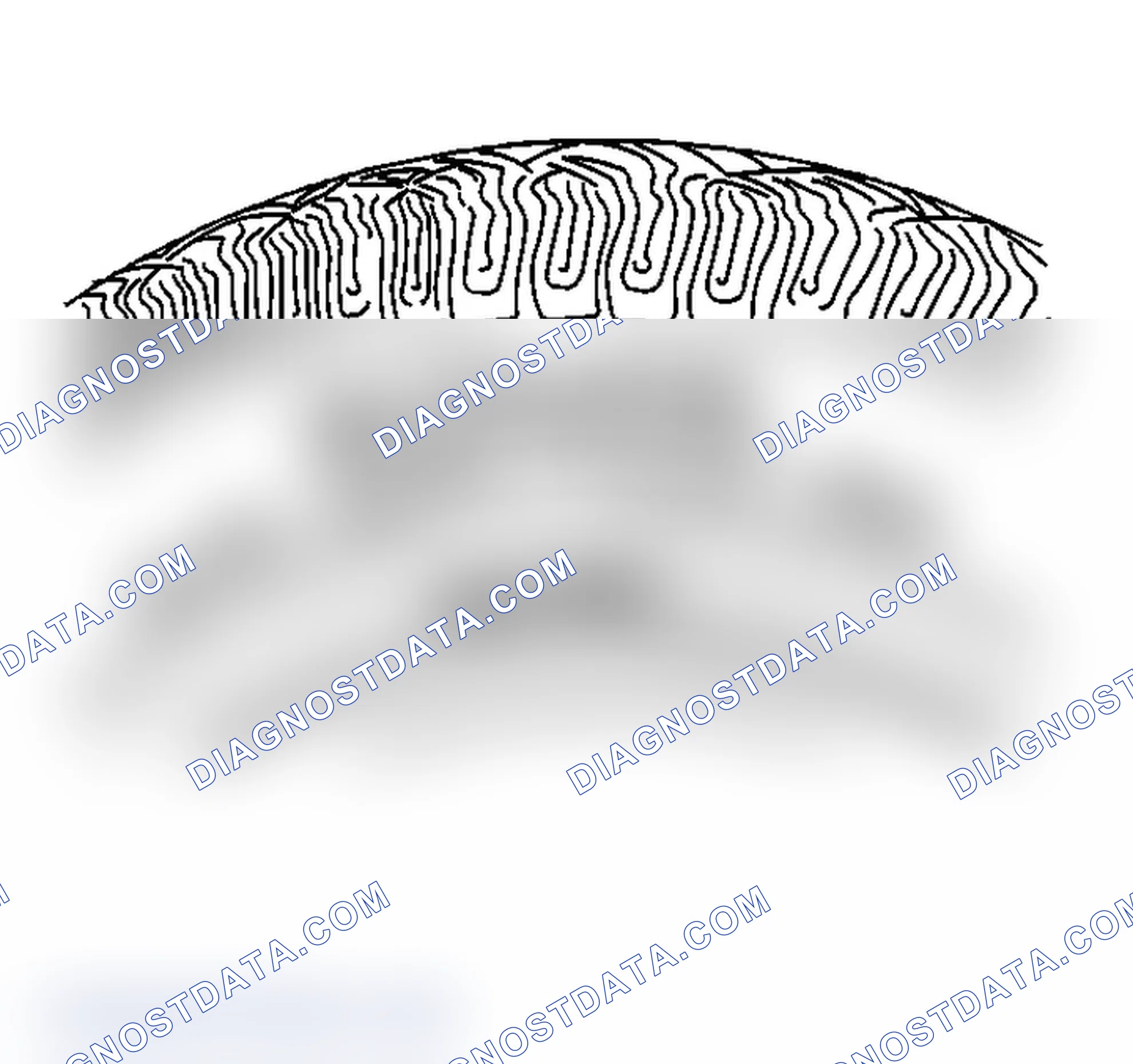 Scheme 28: Tire and Wheel Inspection