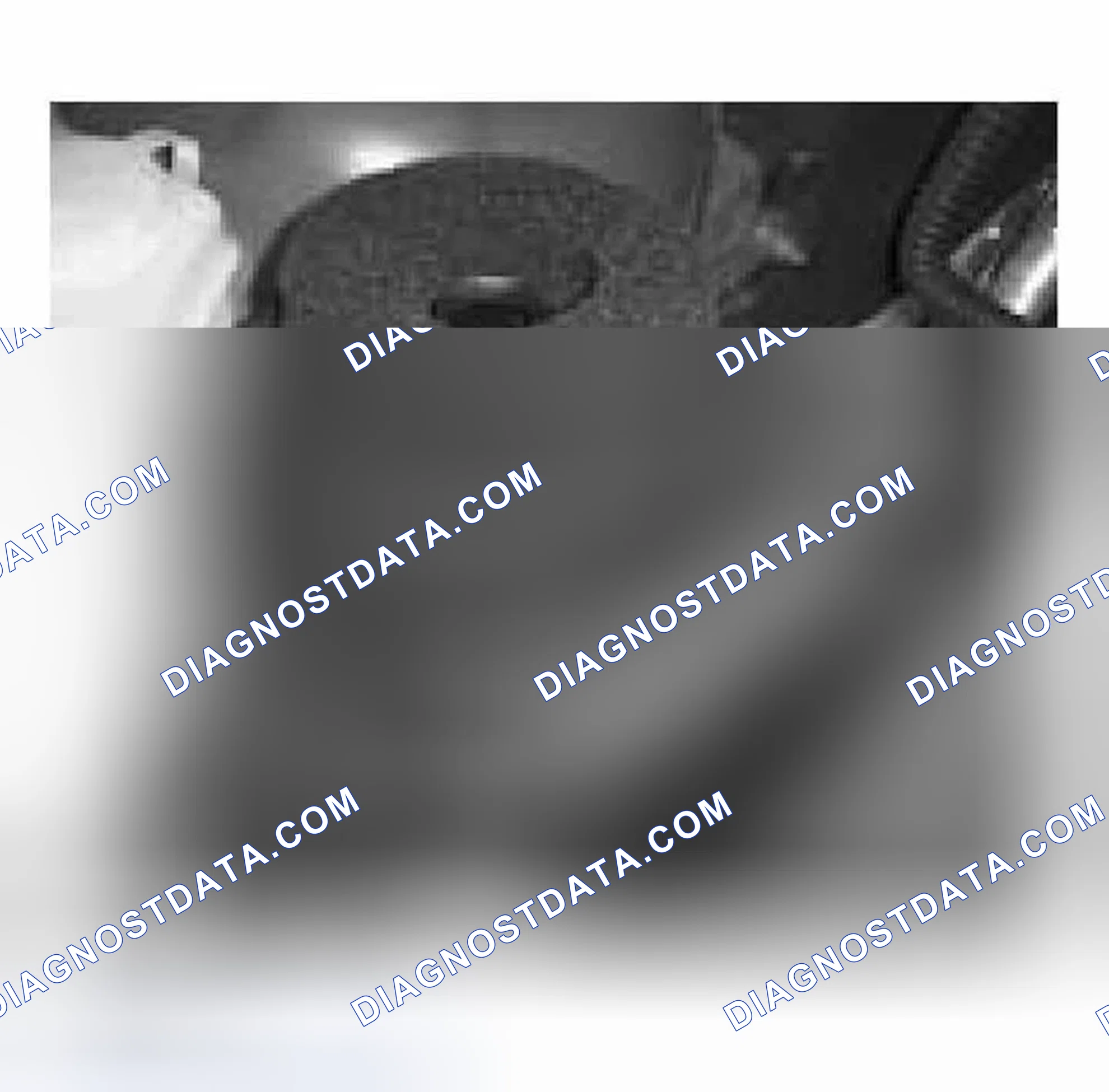 Scheme 459: Identifying Secondary Air Injection
