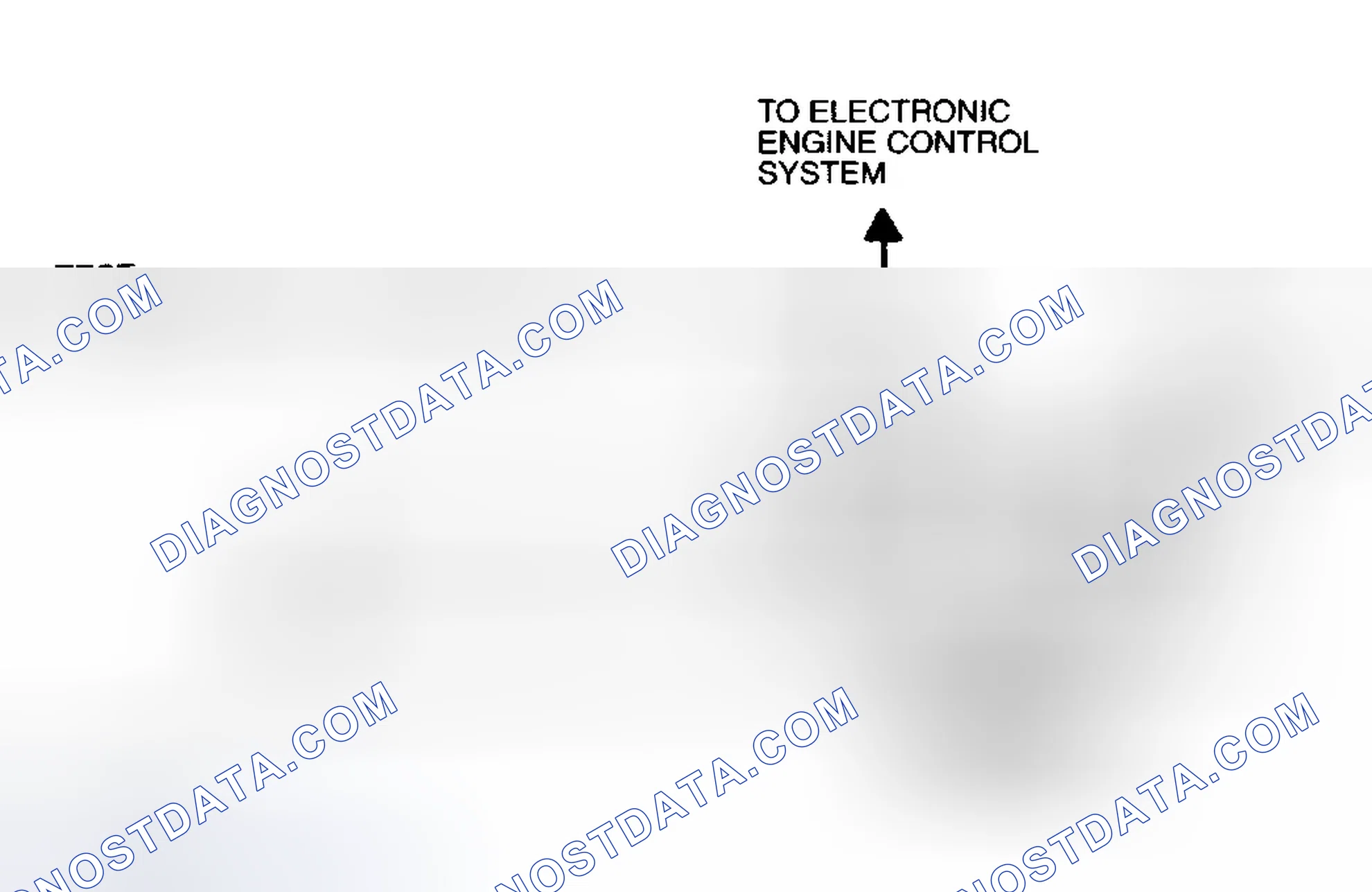 Scheme 67: CIRCUIT TEST B - EEC-V POWER RELAY