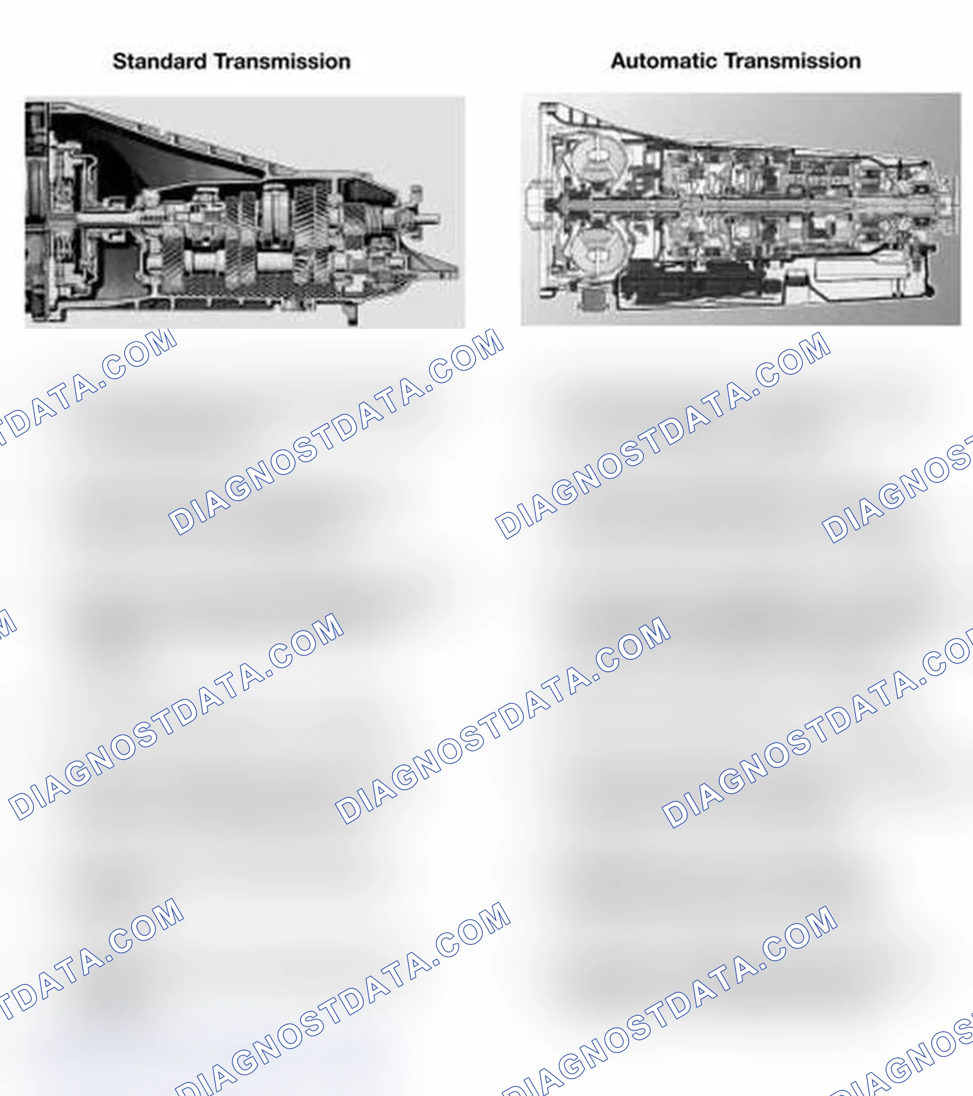 Scheme 1: STANDARD/AUTOMATIC TRANSMISSION
