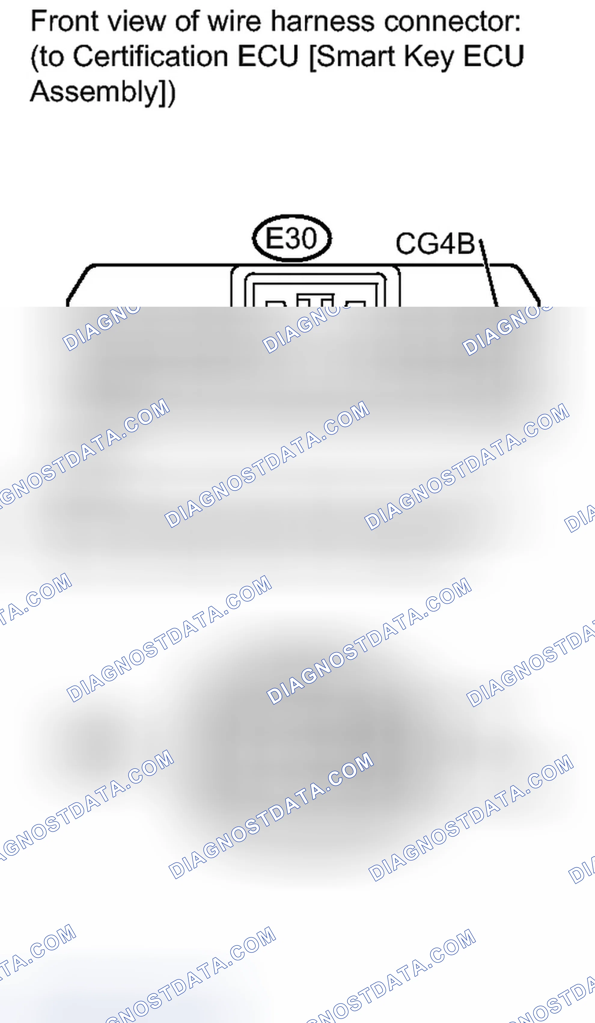 Scheme 251
